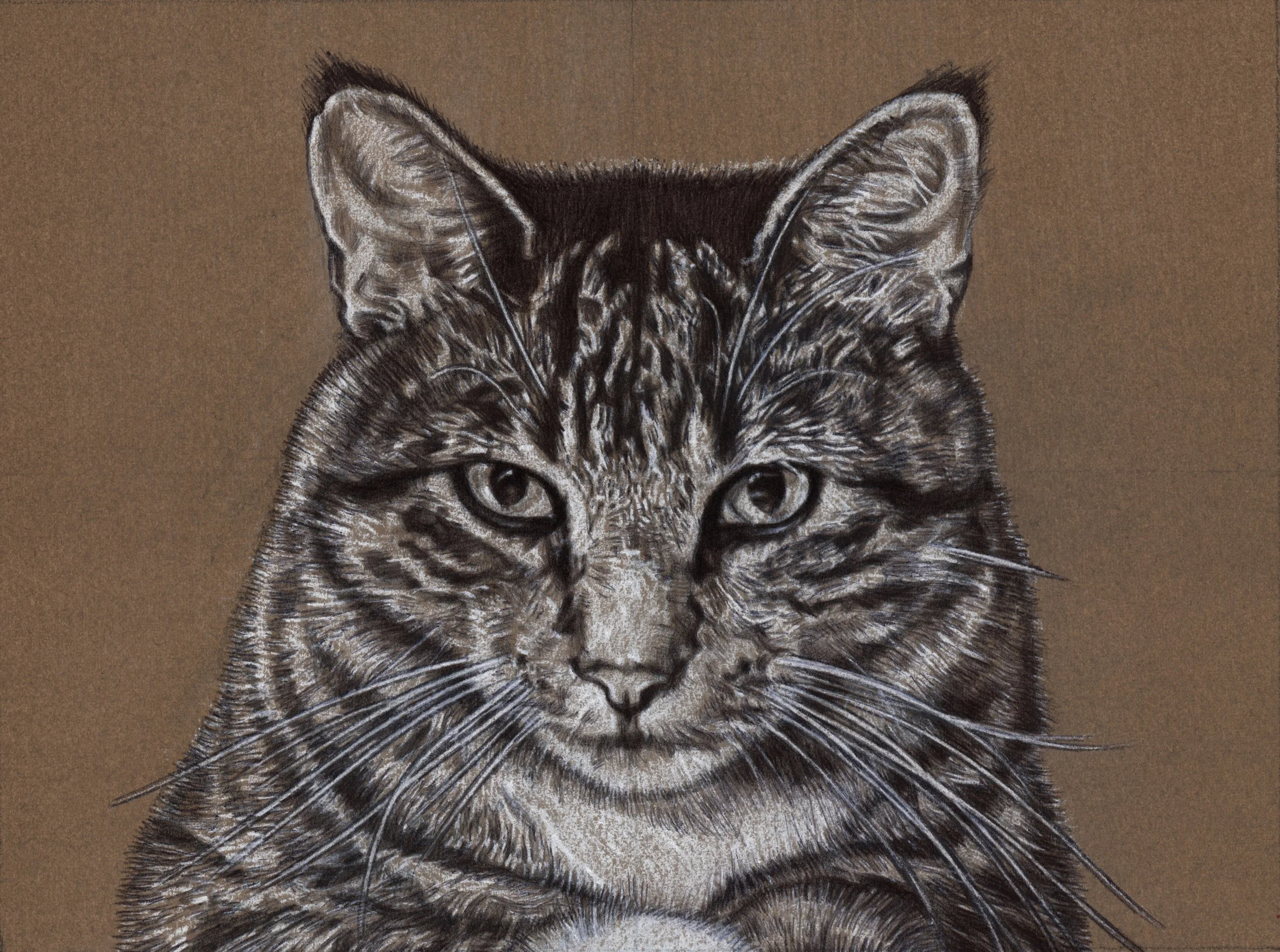 portrait for erin.jpeg