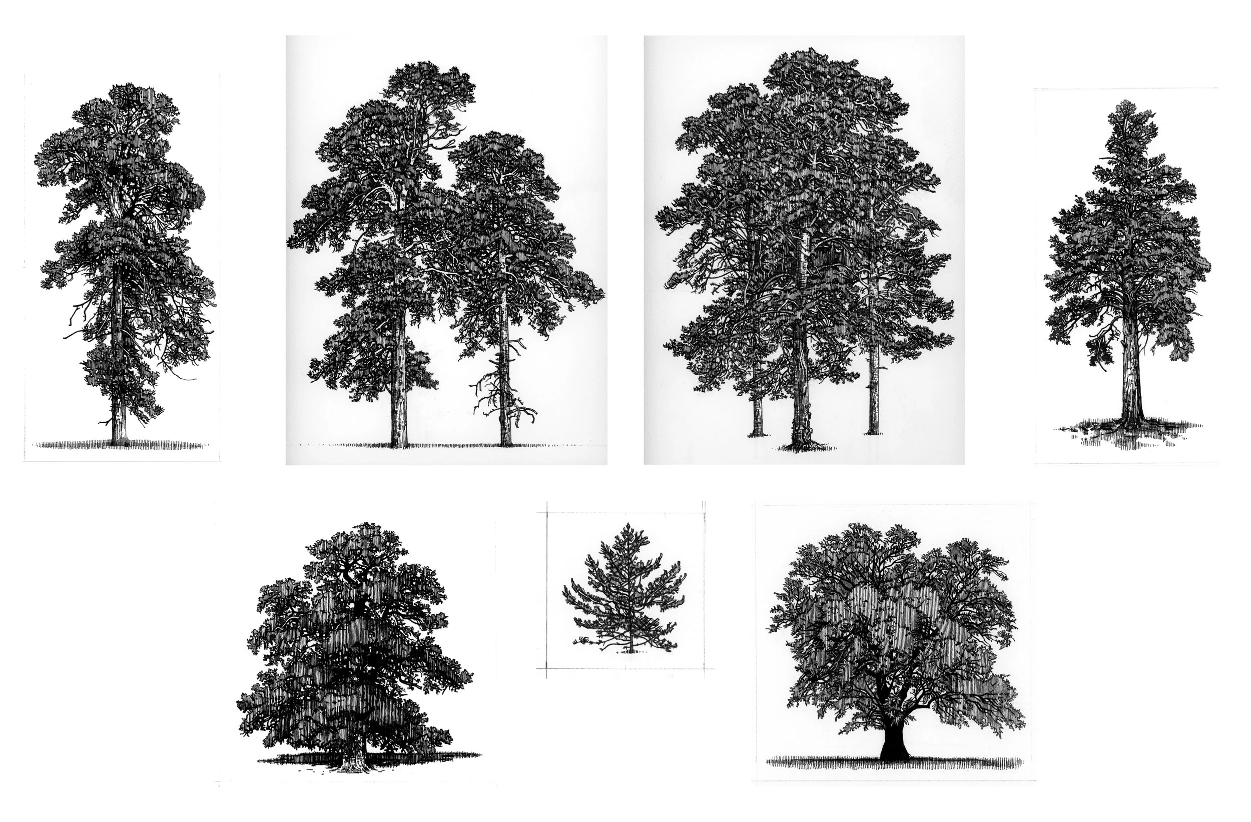 shishkin grid small.jpg