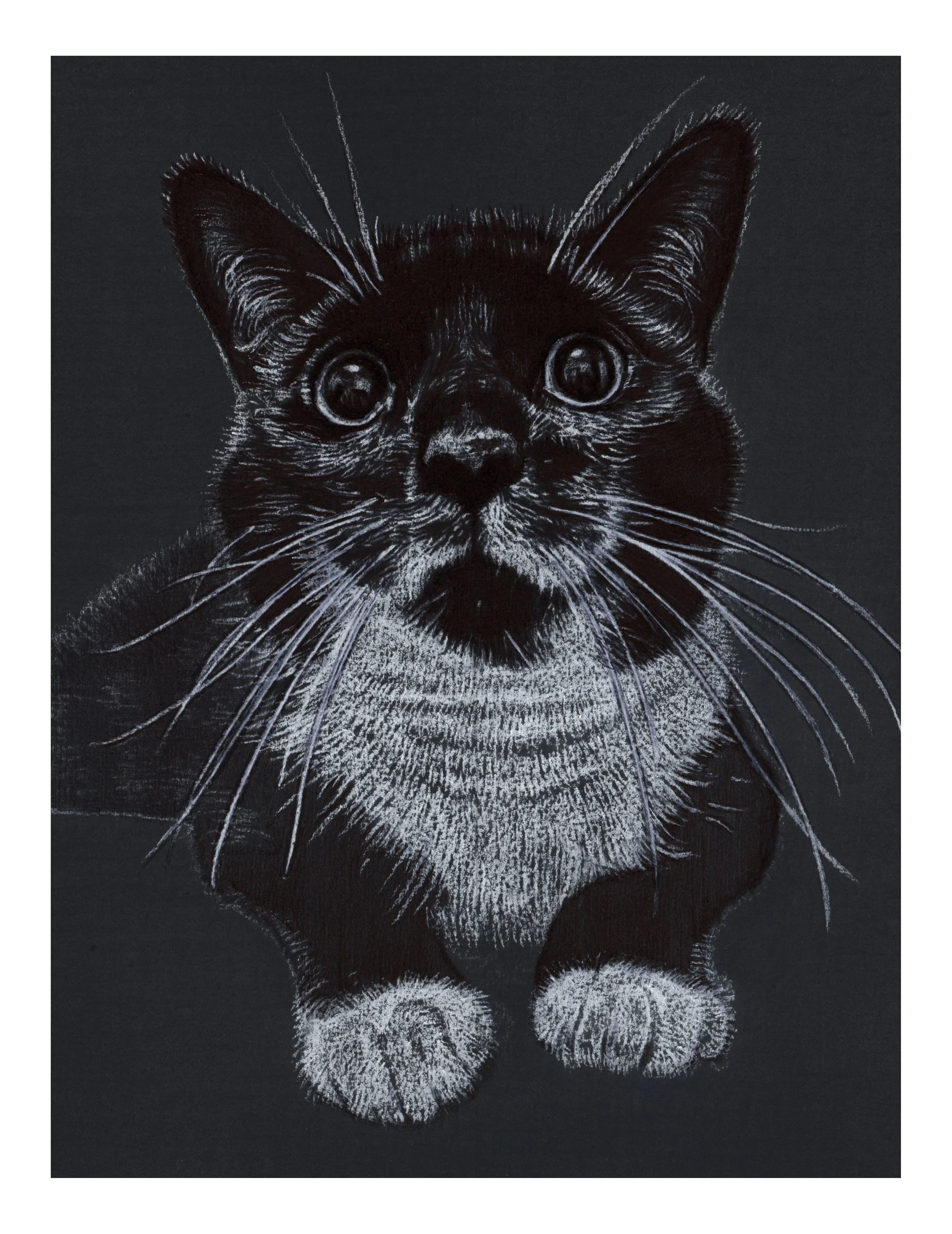 portrait mittens web.jpg