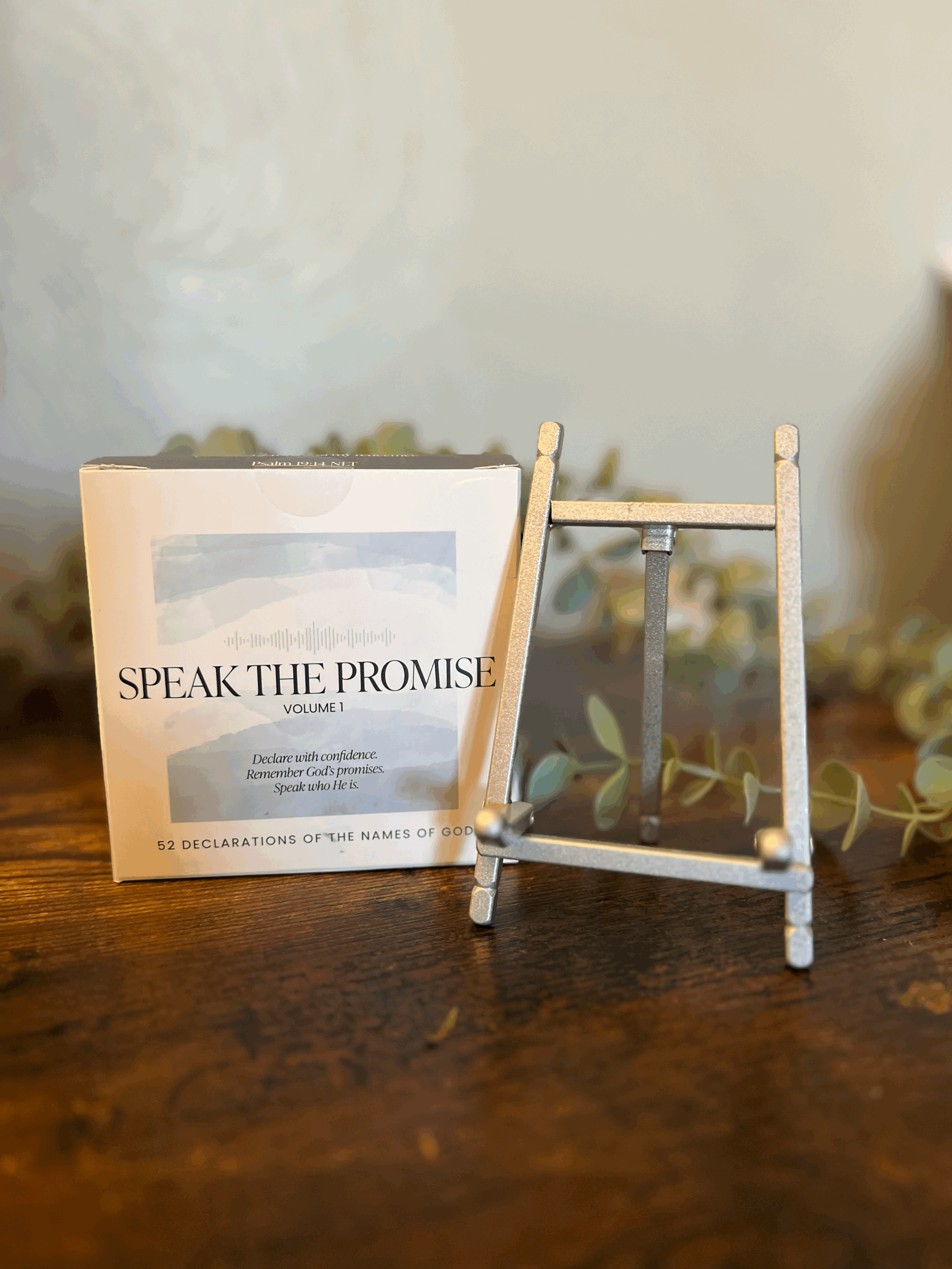 SILVER stand + STP Declaration Cards Vol. 1  (REACH Night Special)