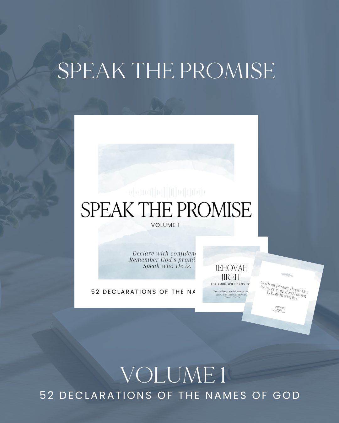 Speak the Promise Declaration Cards Vol. 1