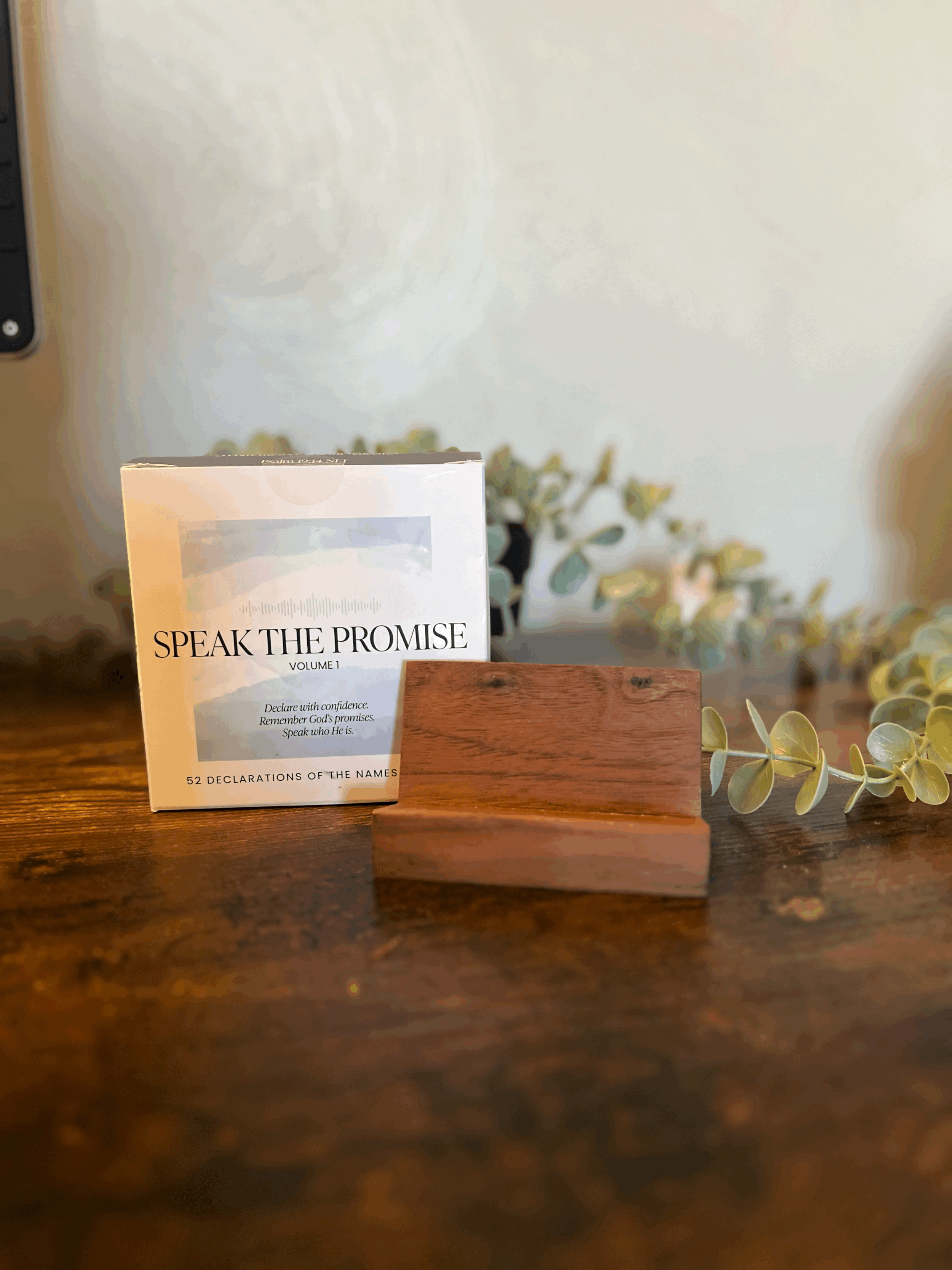WOODEN stand + STP Declaration Cards Vol. 1  (REACH Night Special)