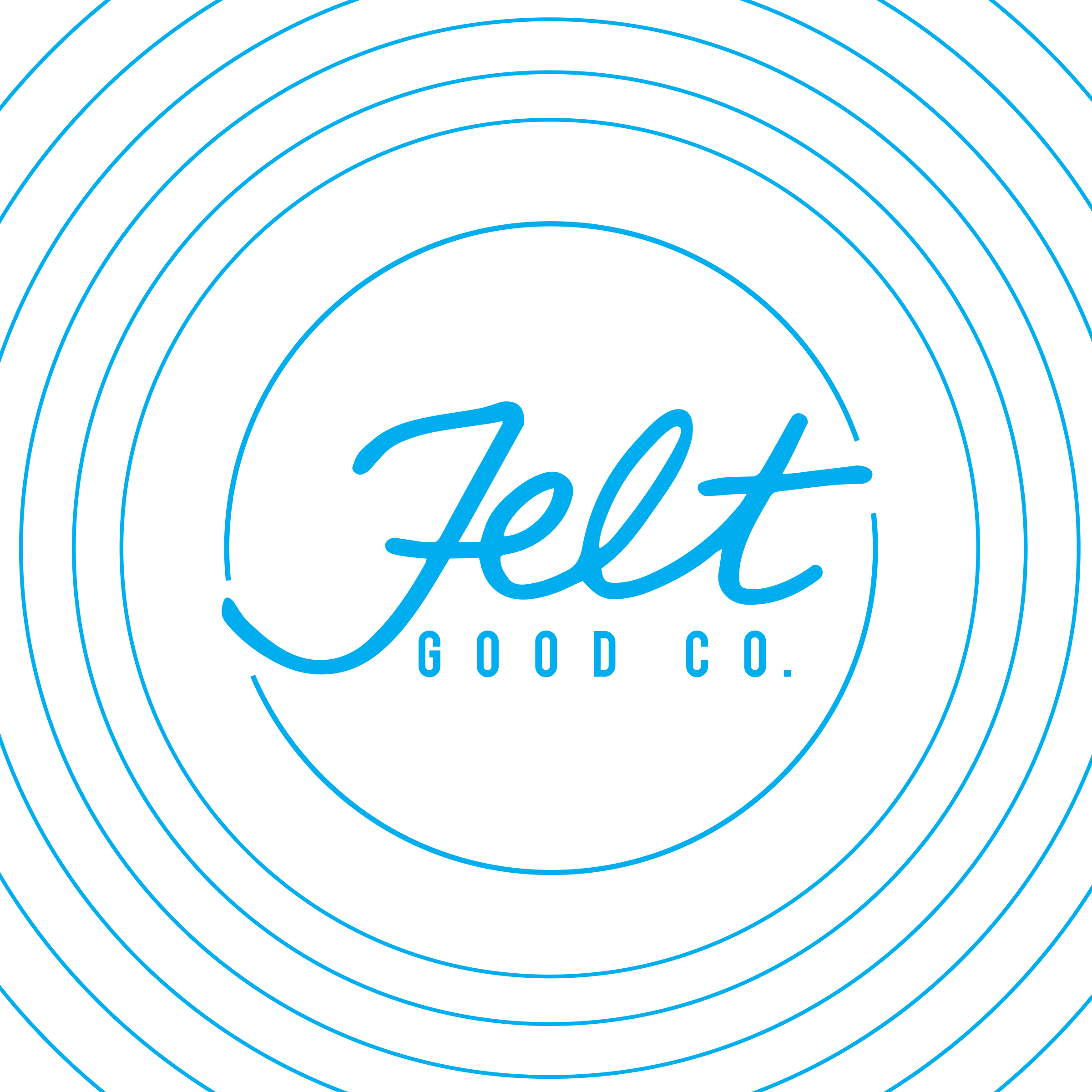 FeltGoodCo_LogoColorFull.jpg