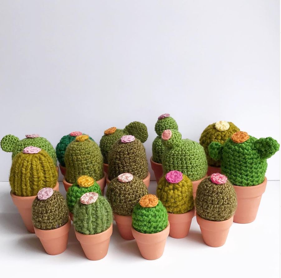 Cactus.JPG