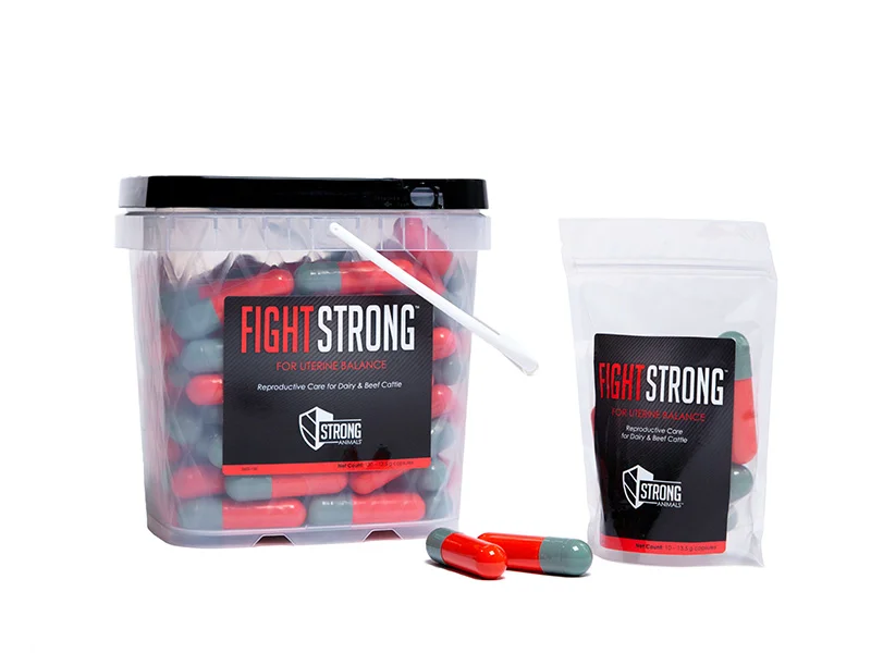 Packaging Design