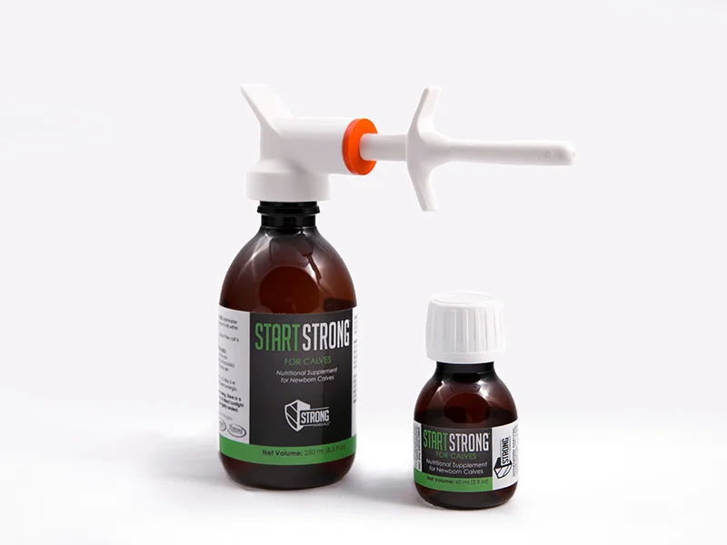Packaging Design