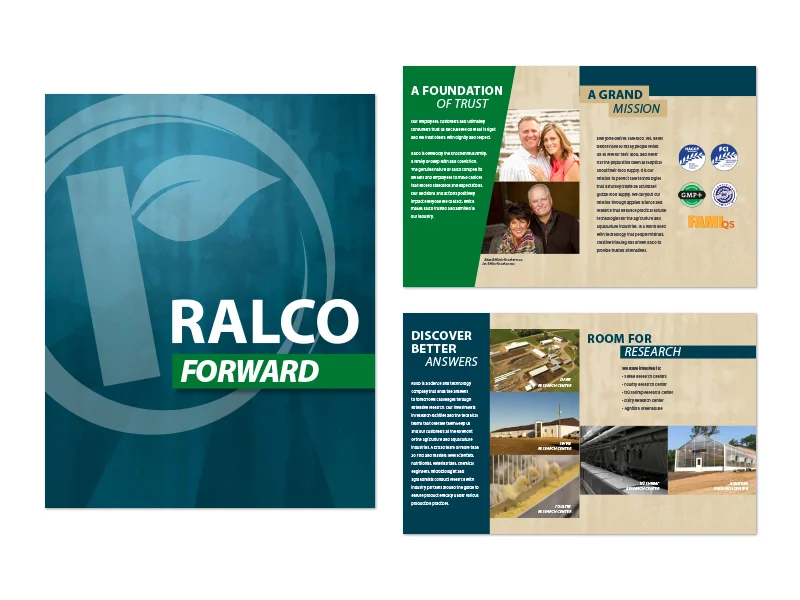 Company Brochure