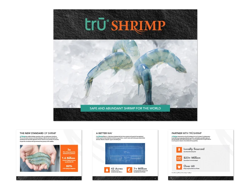 Company Brochure