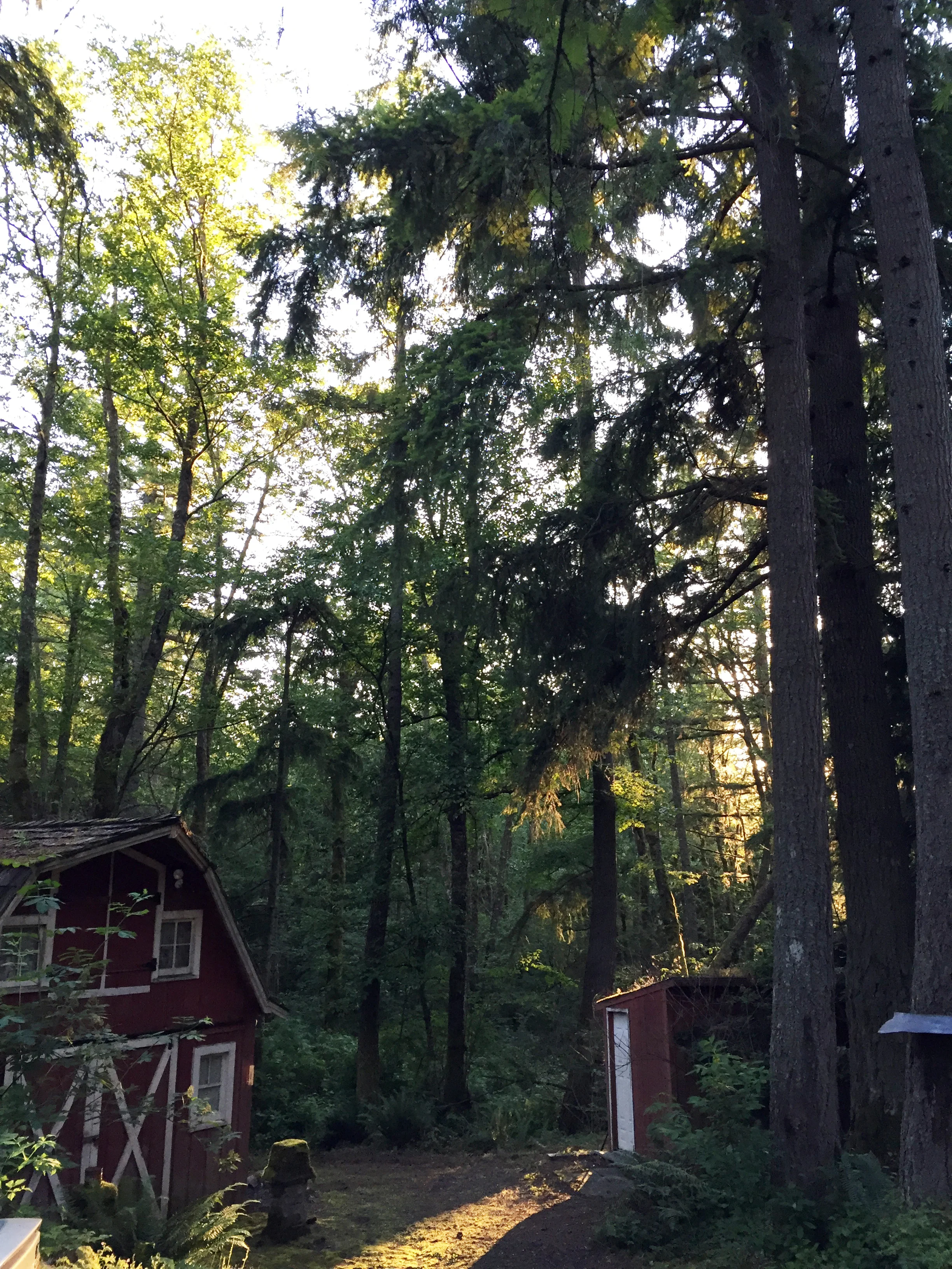 Kendra Castillo | Open Spaces blog: Memorial Weekend: cabin, family, friends, bonfires and of course the woods.