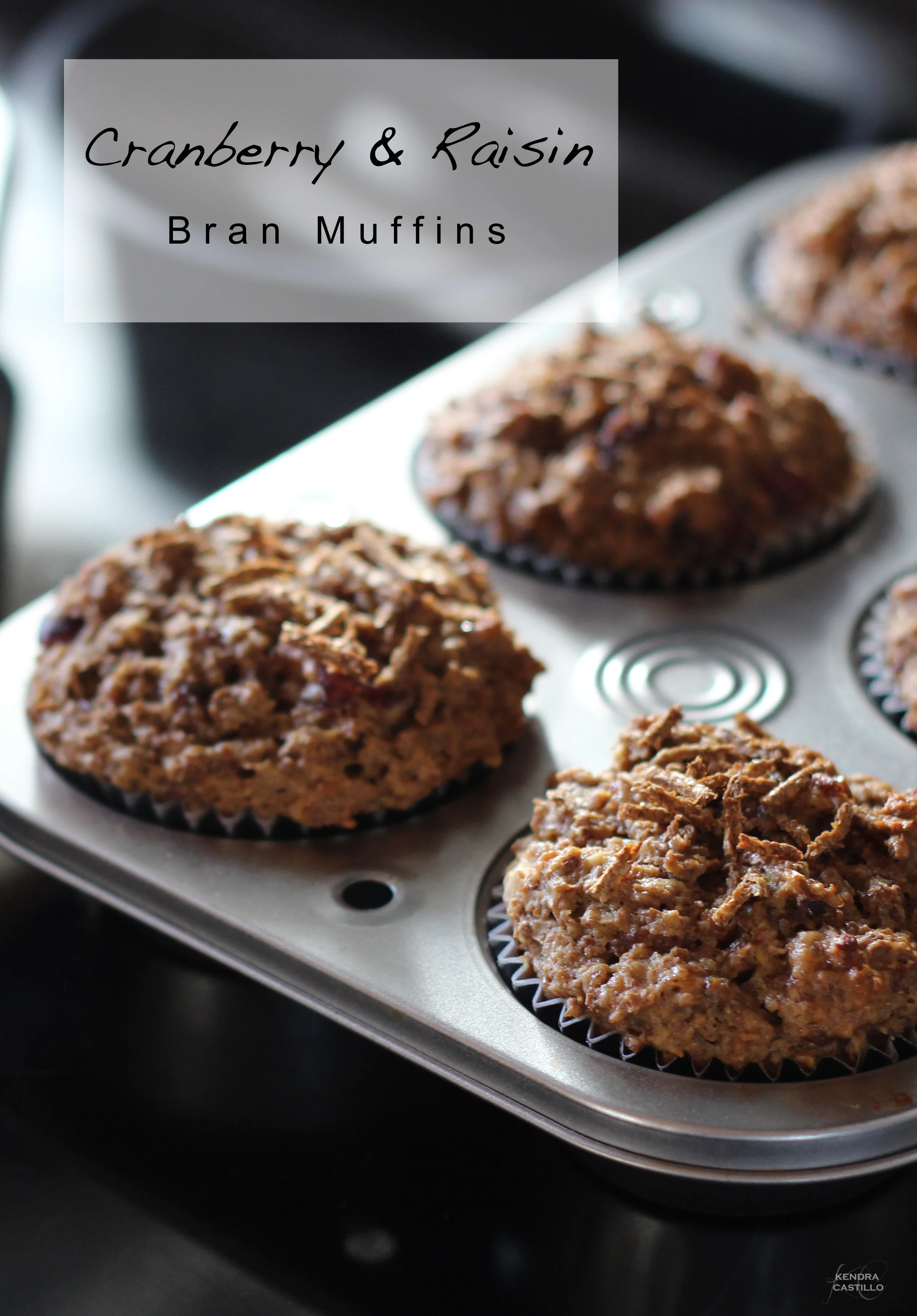 Cranberry and Raisin Bran Muffin Recipe — Kendra Castillo