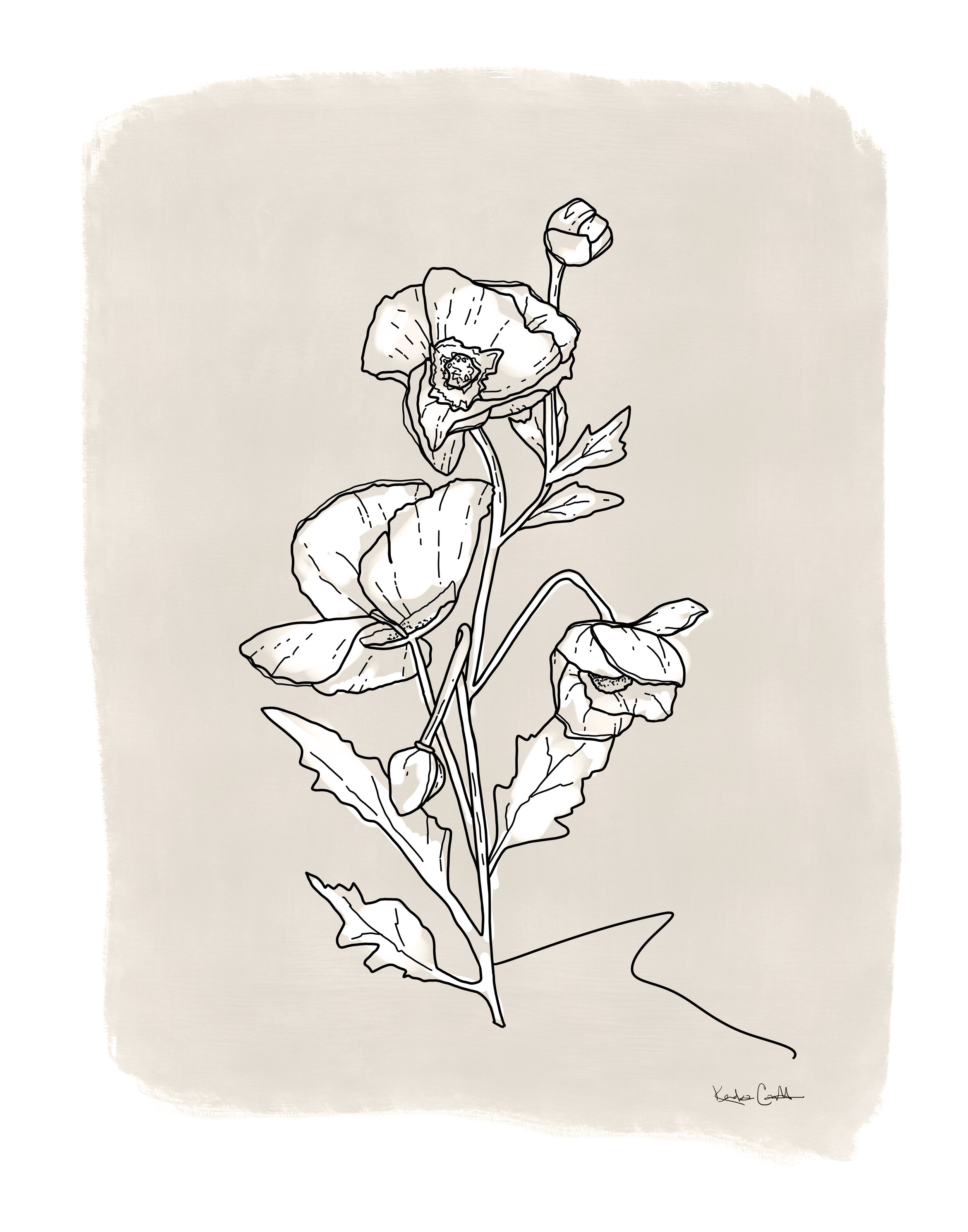 Birth Month Flower Illustrations - Kendra Castillo
