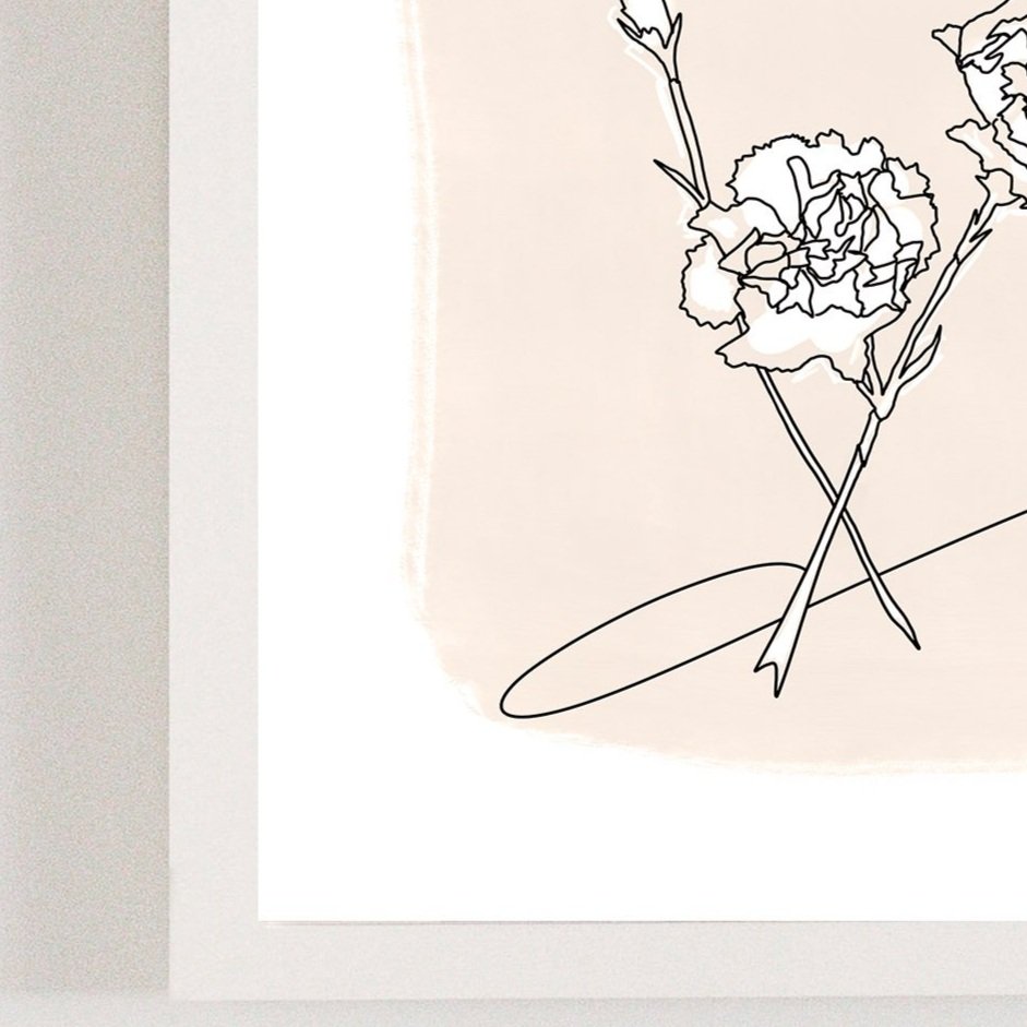 Carnation - January Birth Month Flower Illustration Print
