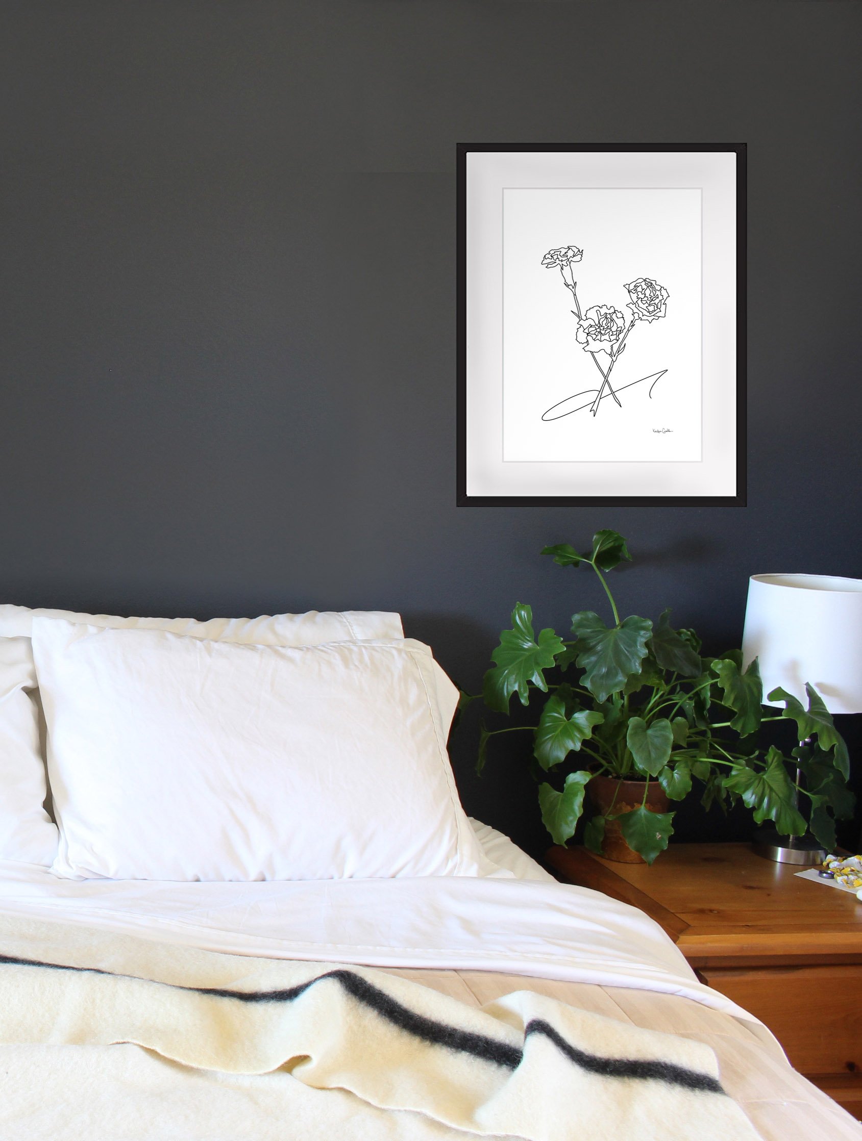 Carnation - January Birth Month Flower Illustration Print