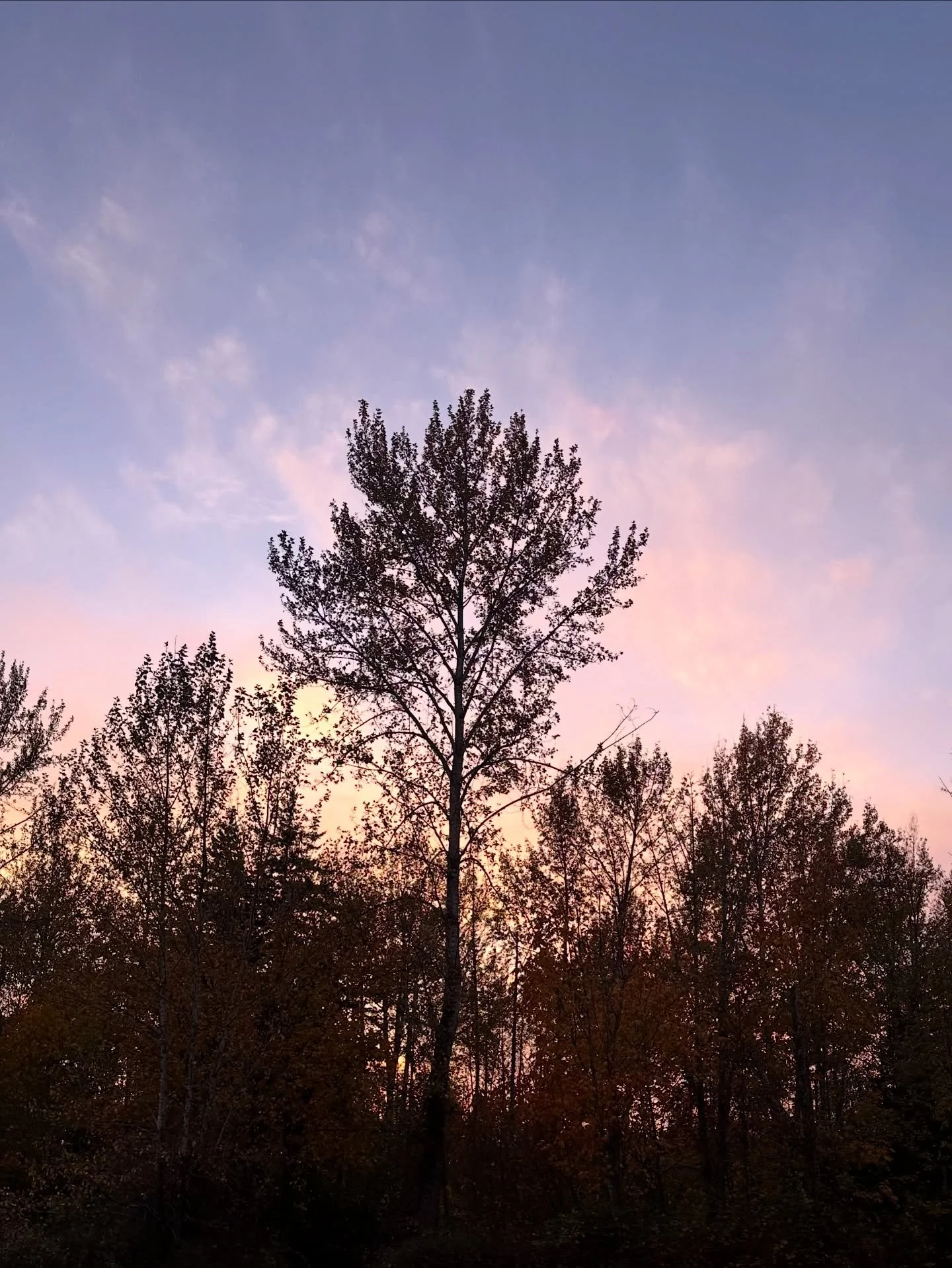 Did you know that each months art is designed to fit a standard 8x10 frame &mdash; that&rsquo;s over $400 in art print value 🤯. 

So this is my little reminder that now is the time to snag one (or 4) of my 2026 calendars. Preorders end on Friday and