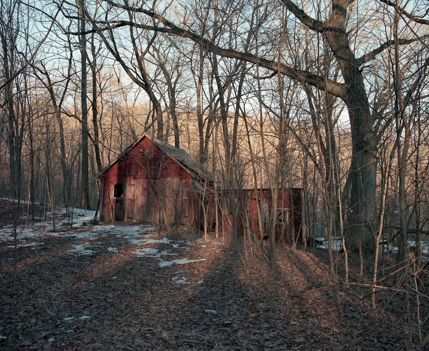 abandon barn in wood_web.jpg