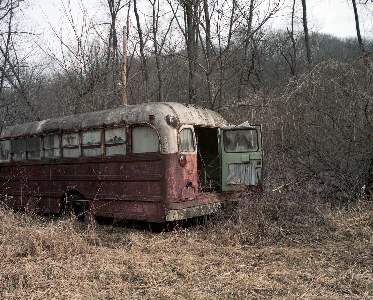 old bus.jpg