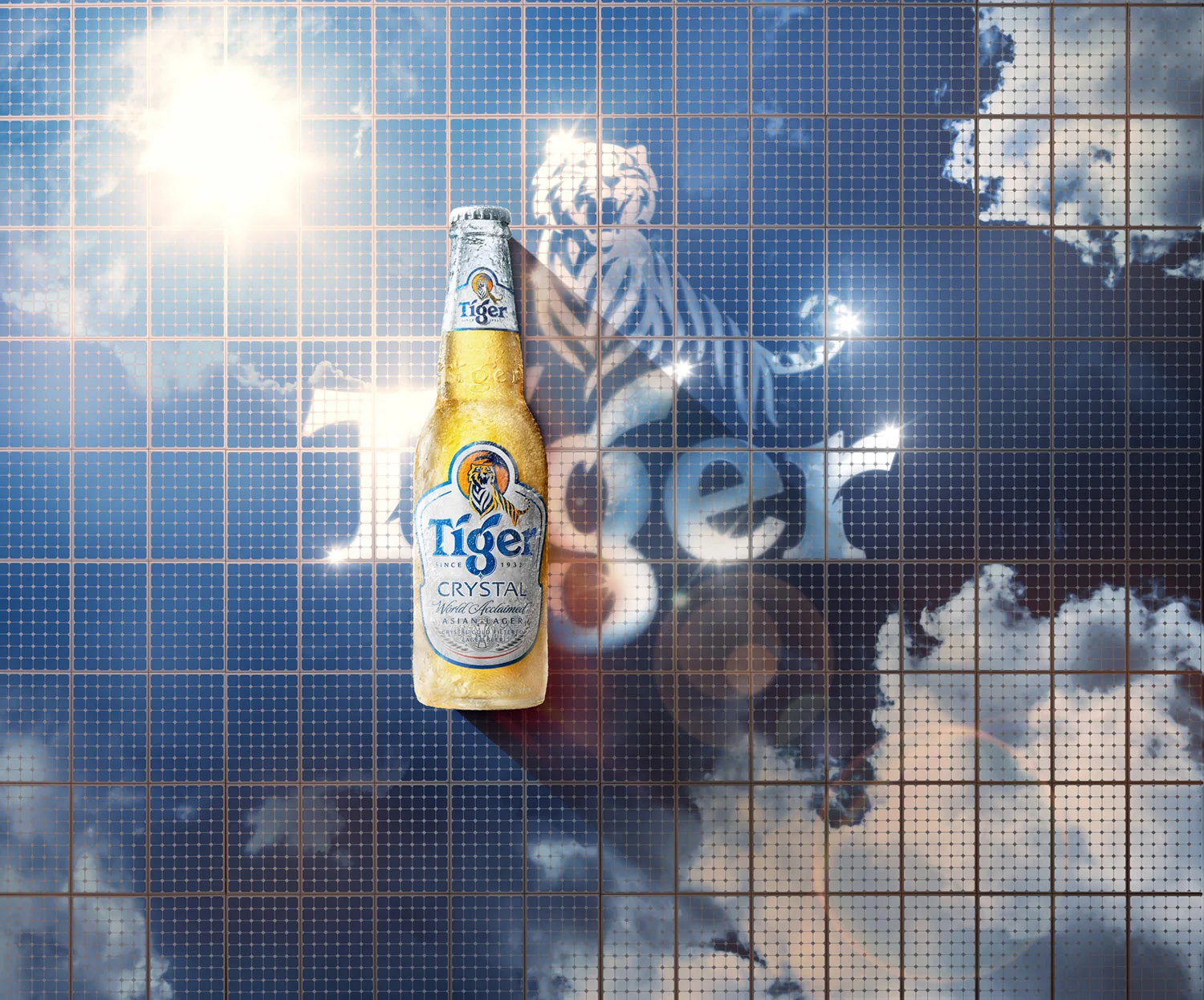 TigerBeer2.jpg