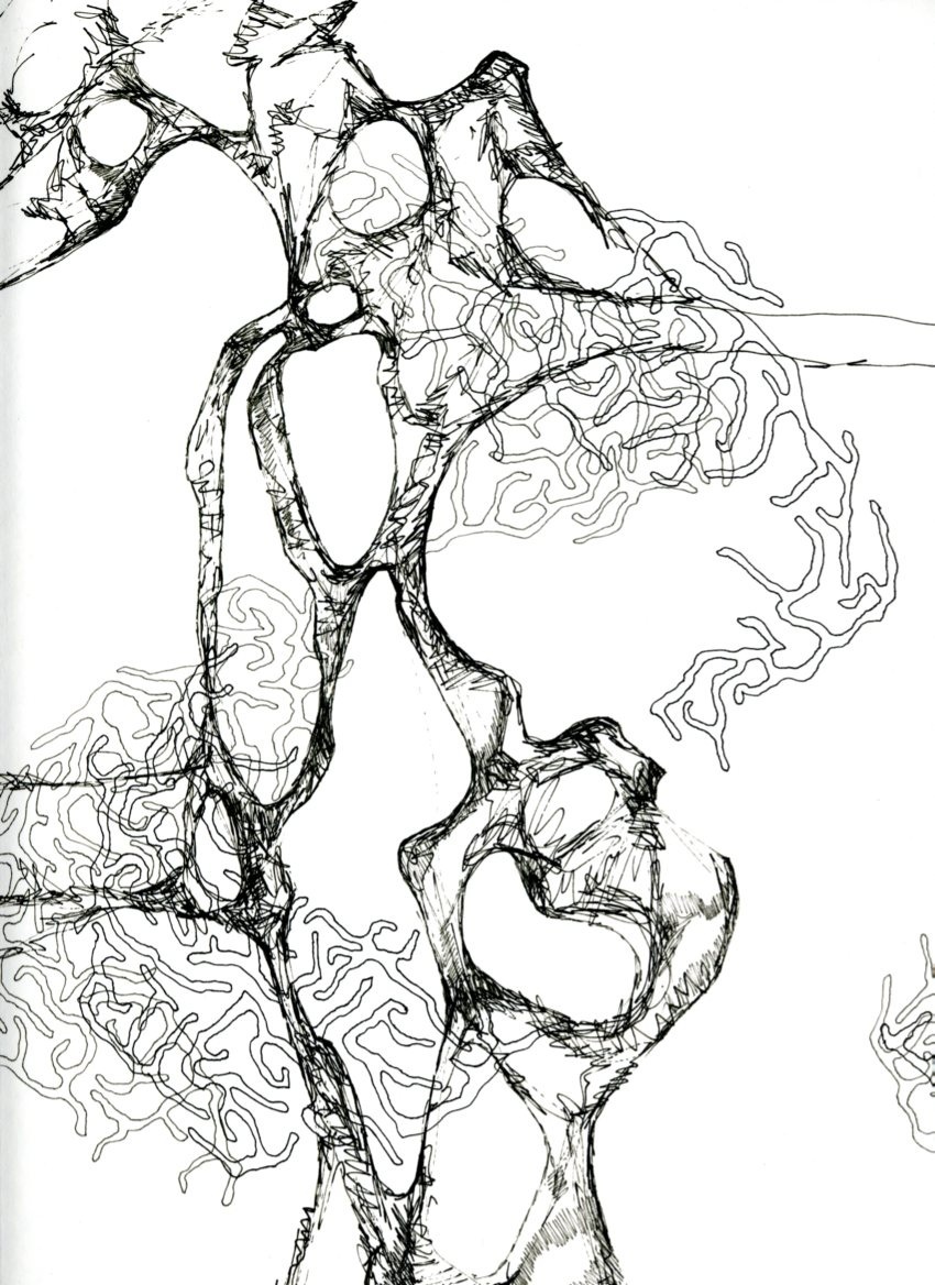  ink on paper 