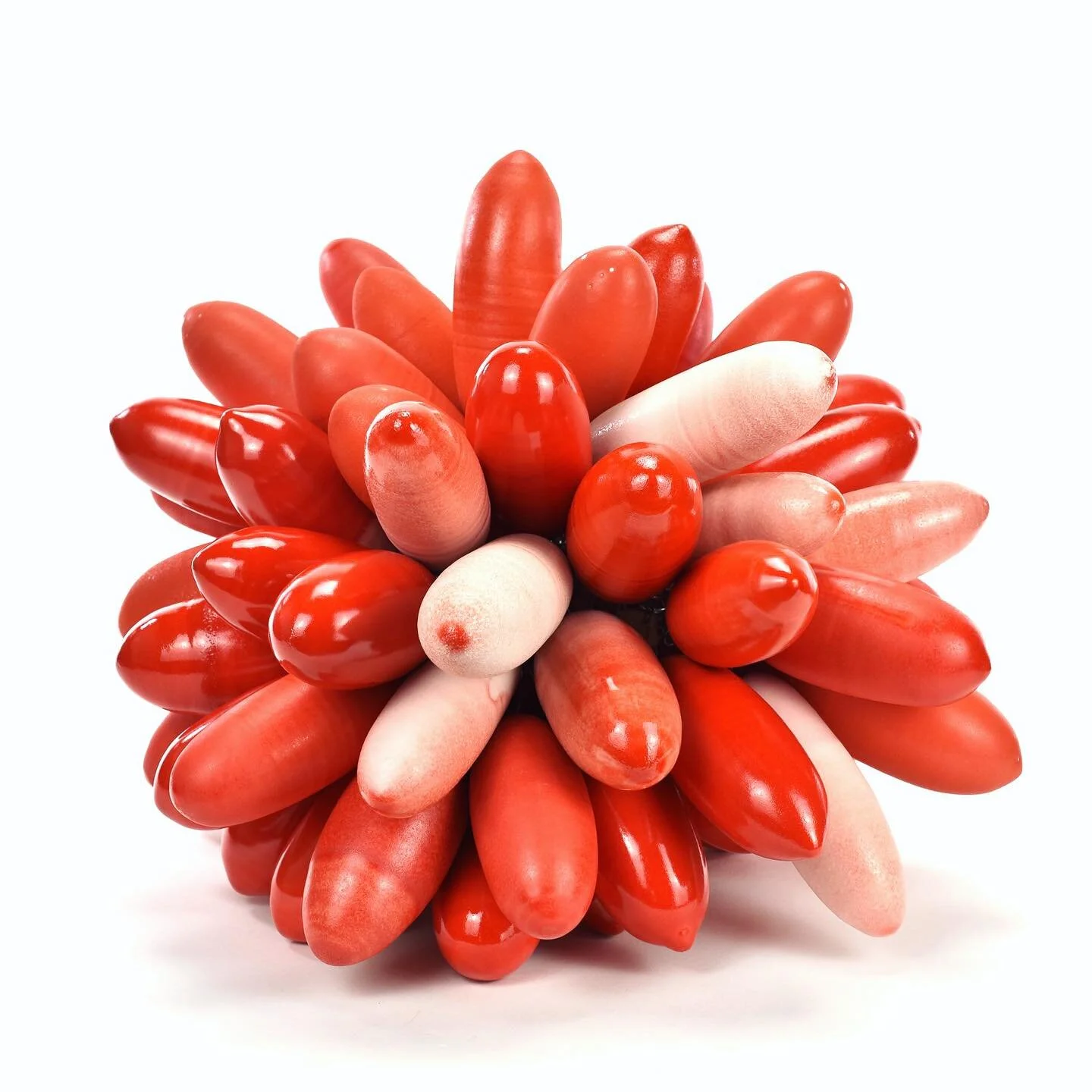 Barberries for Bonnie Jean.

#earthycollections #berries #redorange #contemporaryceramics #sculpture #ceramics #clay #studioceramics #studio #art #glaze #wip #artistsofinstagram #cluster #clutch #poison #gobigorgohome #collection #annarbor #colorado 