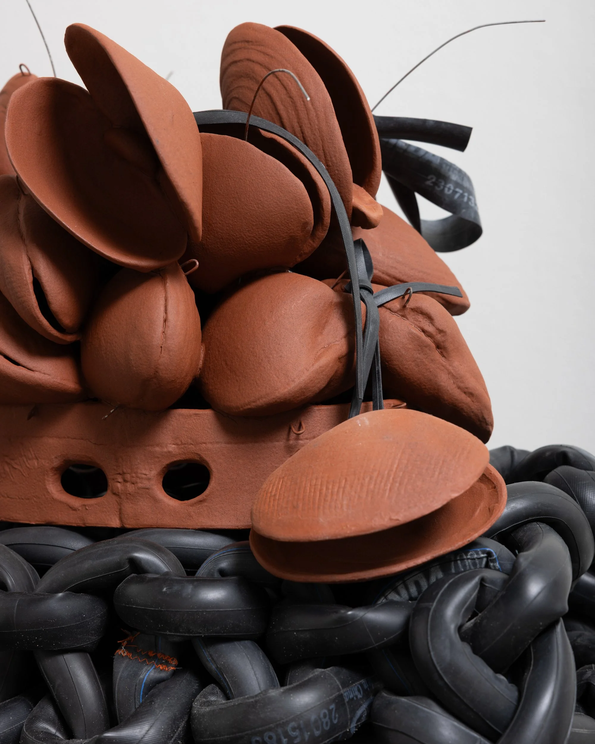 terracotta clam