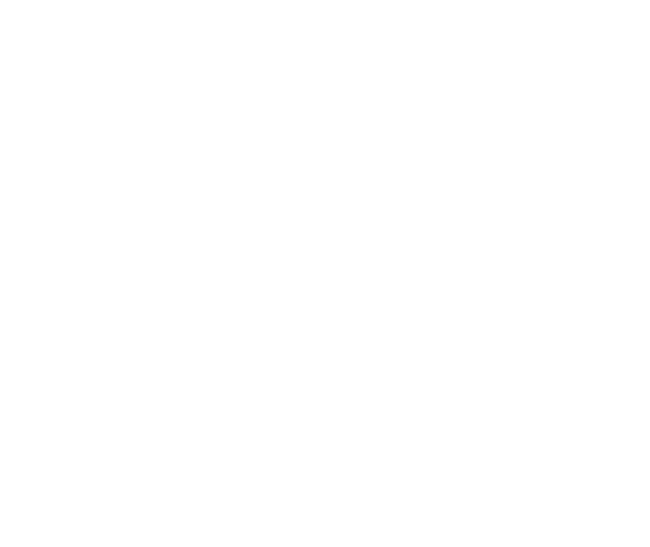 Noosa.png