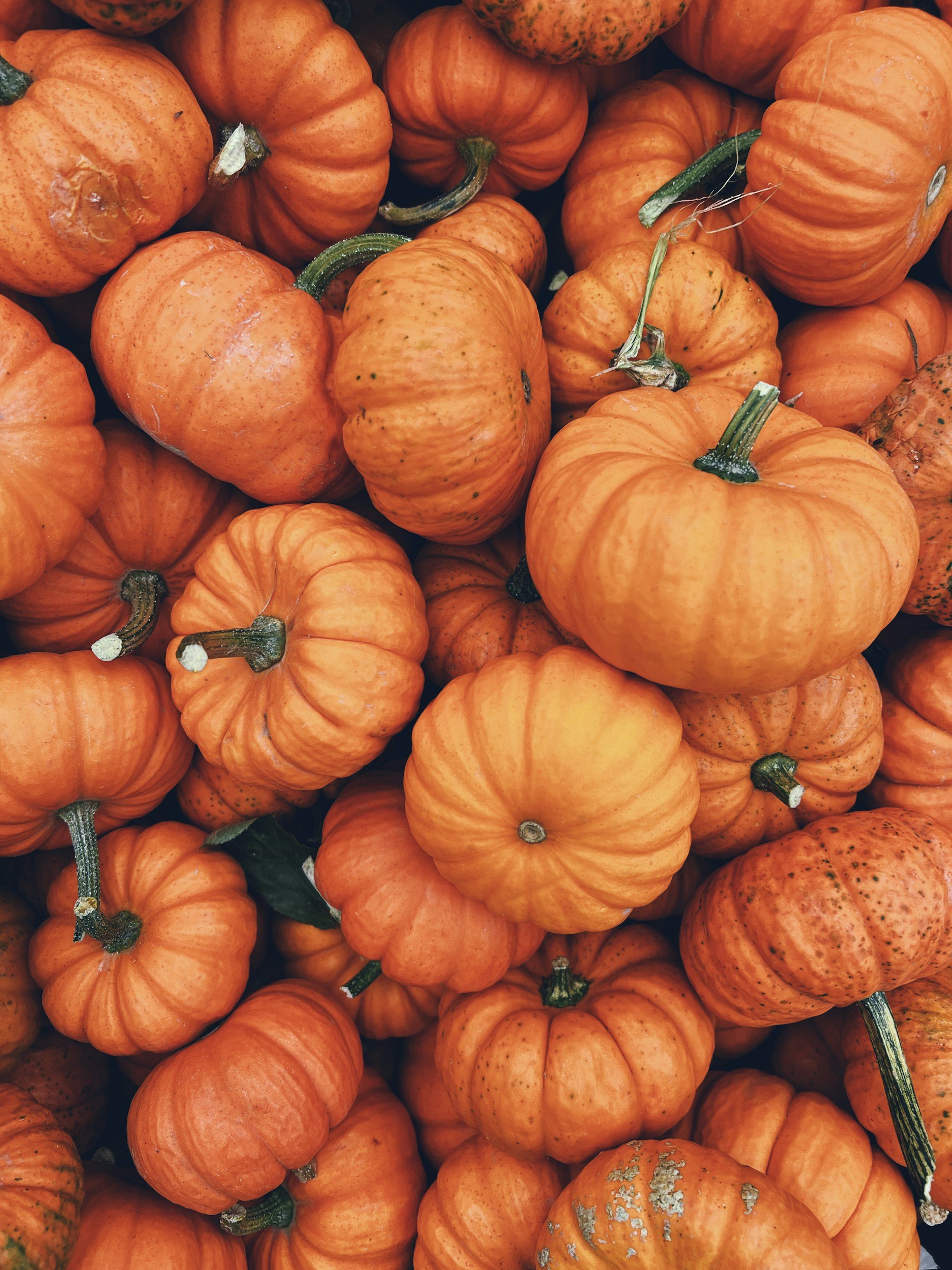 unsplash-image-Utei9aAhF80.jpg