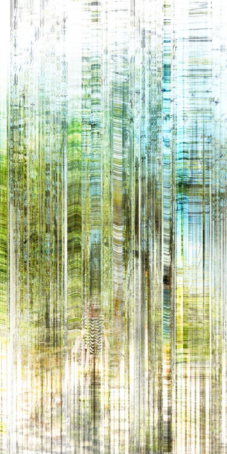 Forest Layer 
