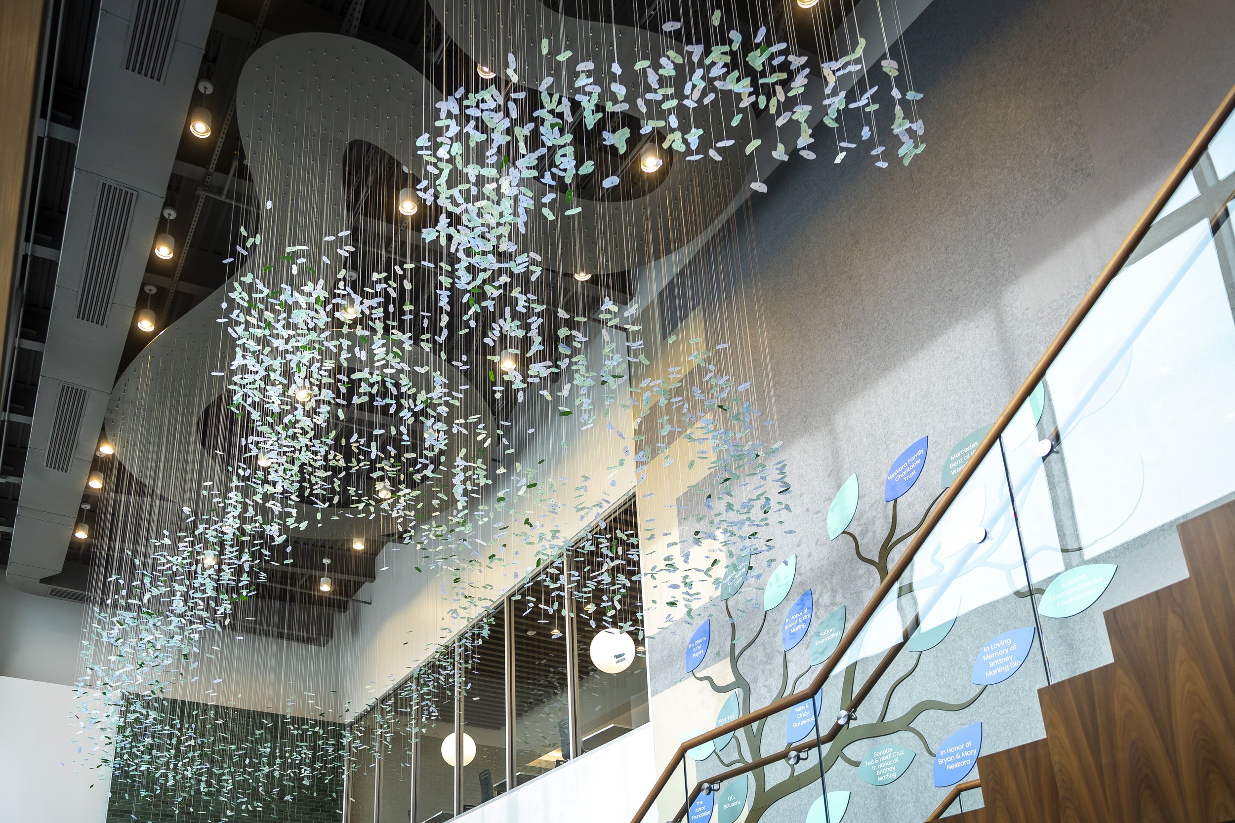 20260130_ShaneSafeHarbor_AM018 copy.jpg