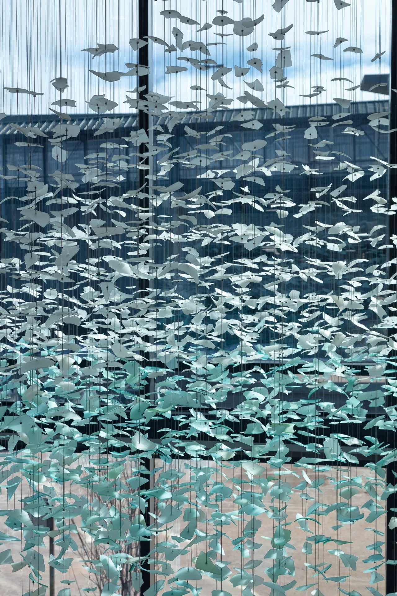 26_February 10, 2022.jpg