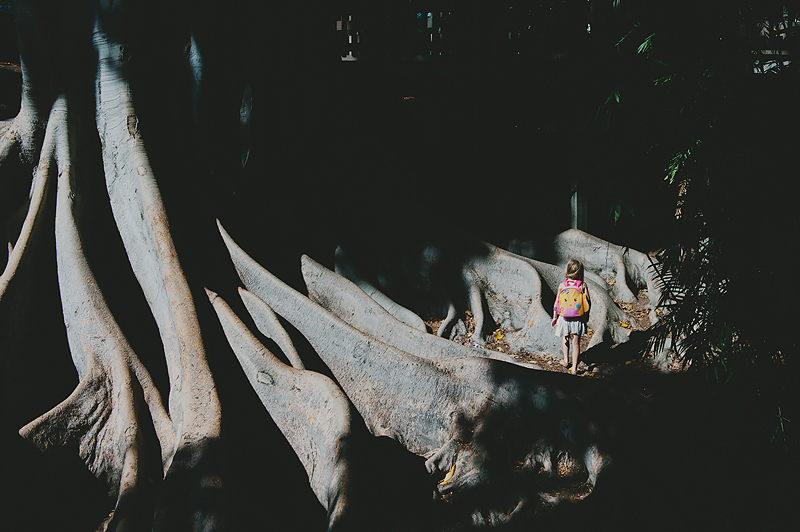 little girl with backpack on climbing large tree in balboa park