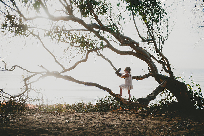 girl climbing tree at california beach