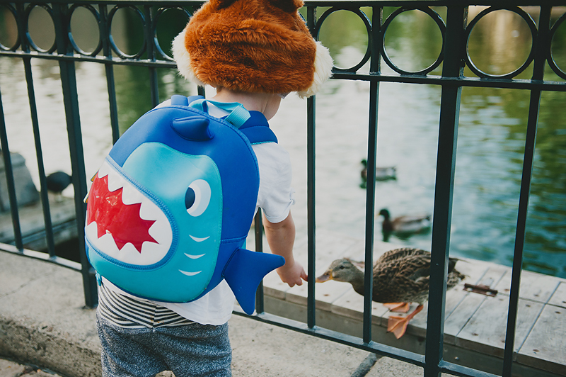 boy wearing chip hat and shark backpack feeding duck at disneyland