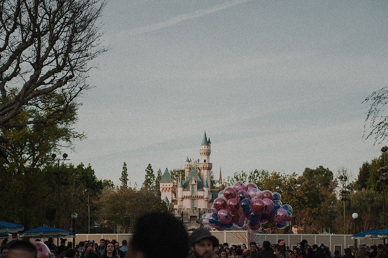Disneyland castle theme park crowd