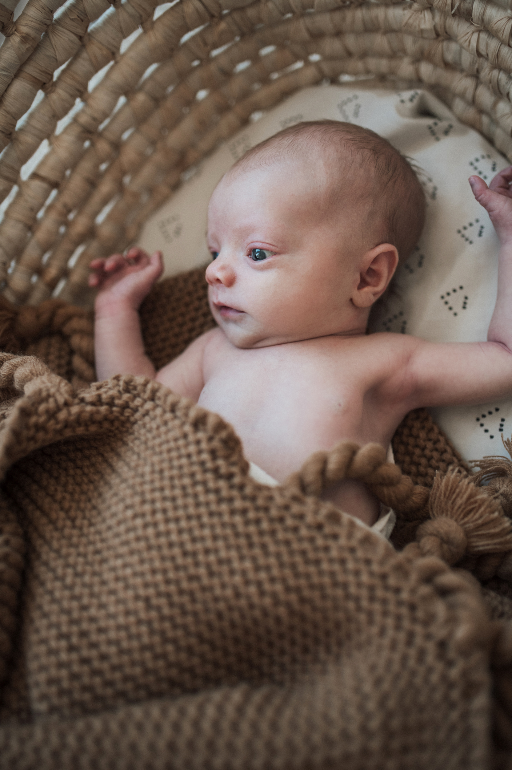 Baby boy lying awake in Moses basket  brown blanket