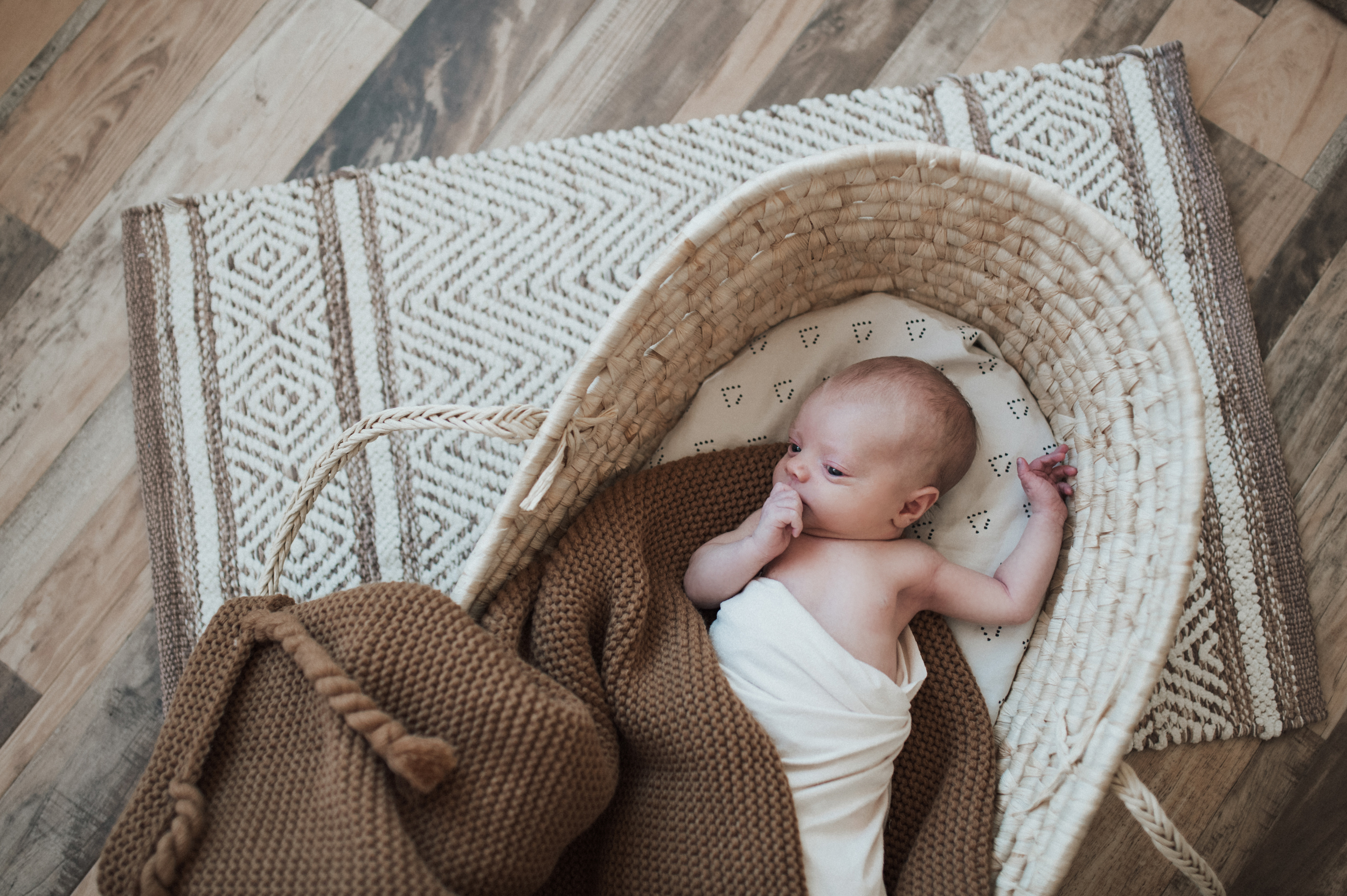 Baby boy lying in Moses basket