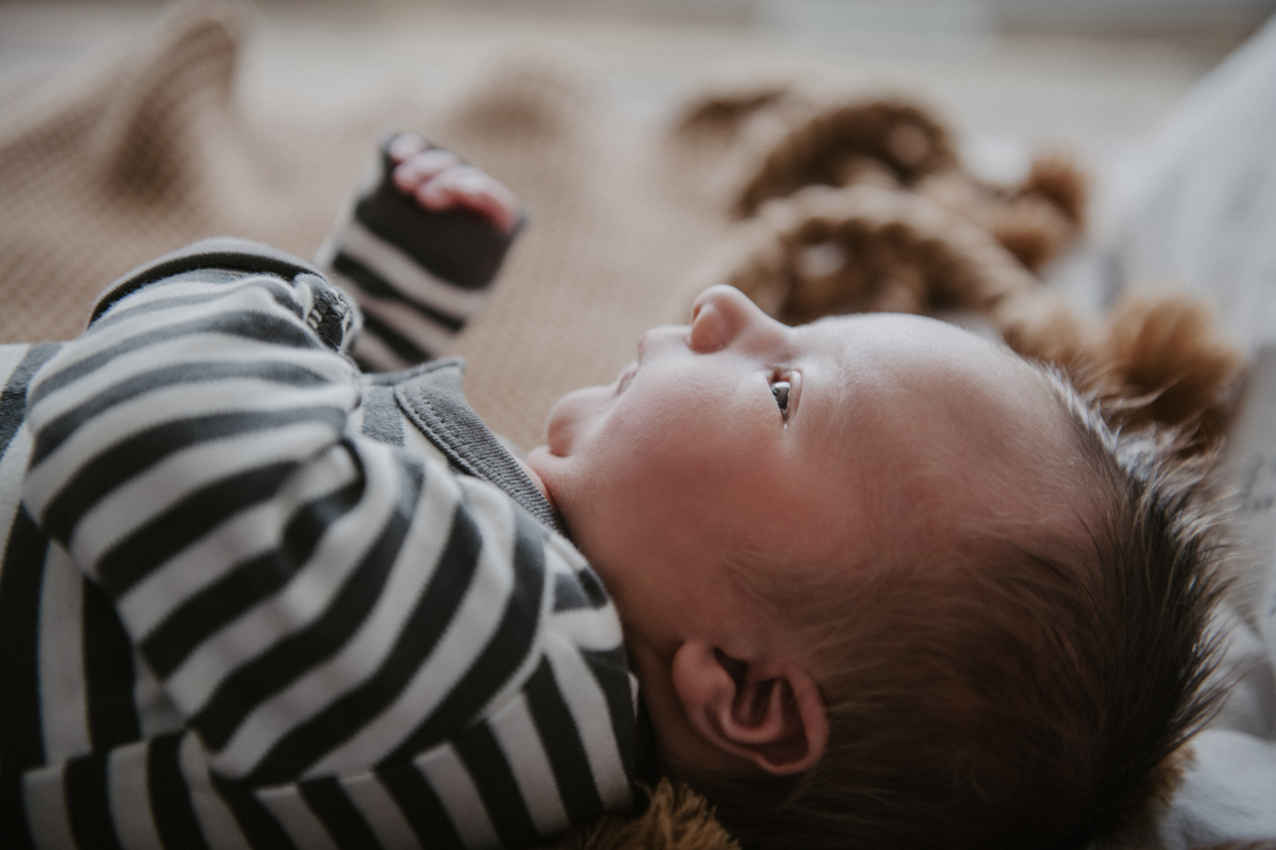 close up of newborn baby boy in striped onesie