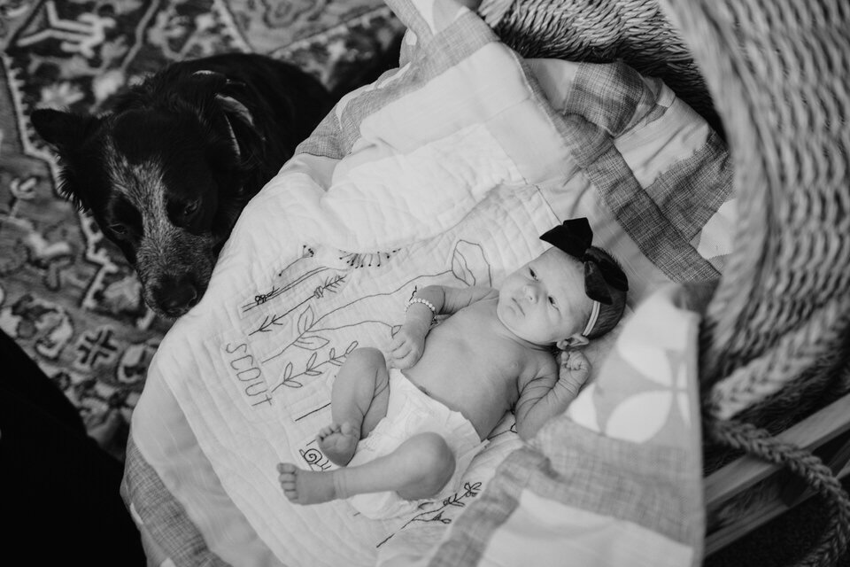 Provo-Lifestyle-Newborn-Photography-24.jpg