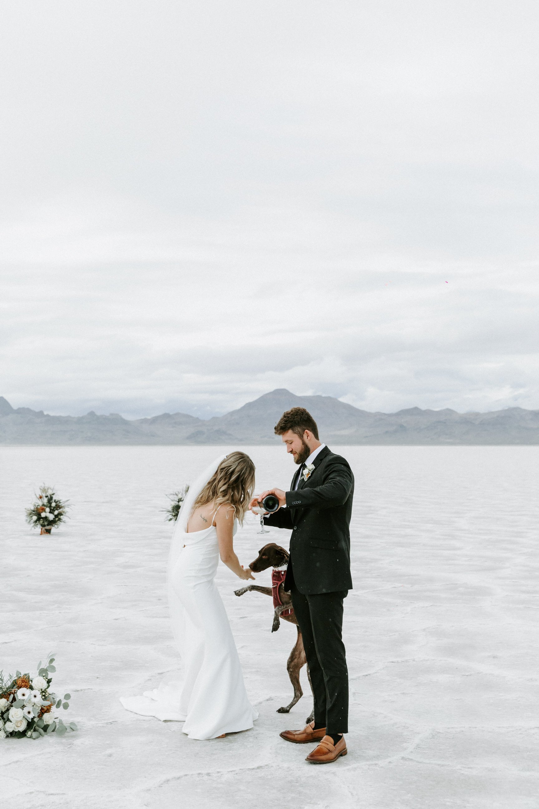 couple getting married on the salt flats with their dog