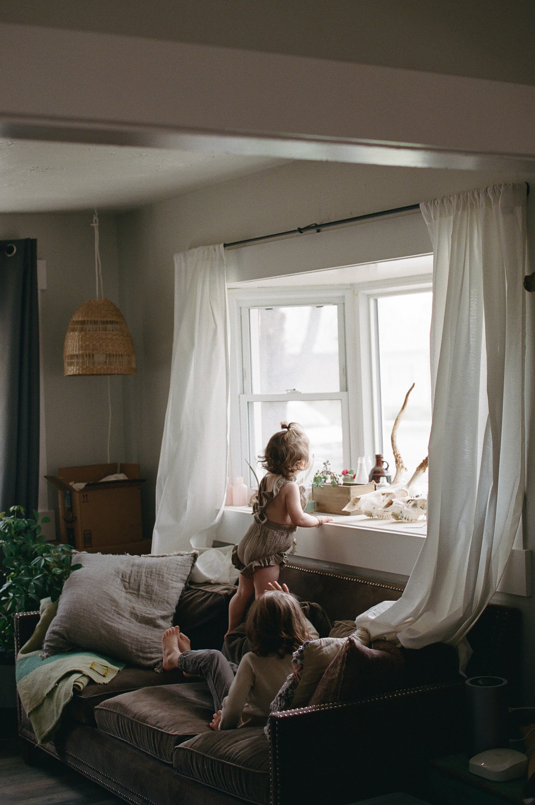 toddler girl standing on couch looking out window toddler boy sitting on couch