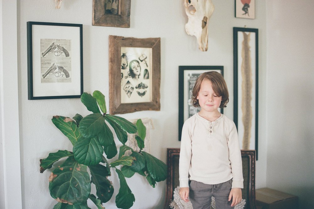toddler boy in front of frame gallery wall with plant with large leaves
