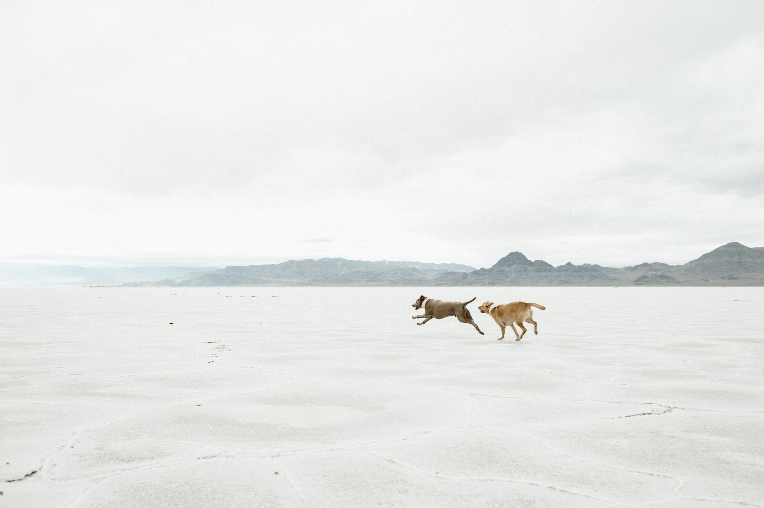 utah-salt-flats-family-photography-99.jpg