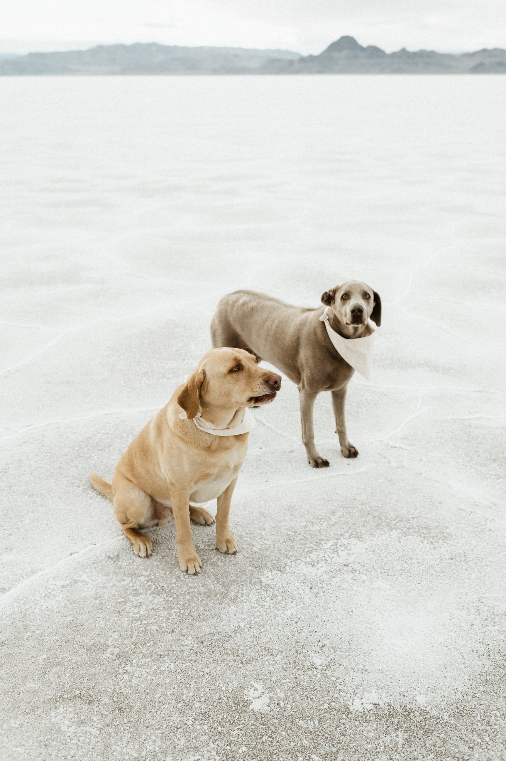 utah-salt-flats-family-photography-95.jpg