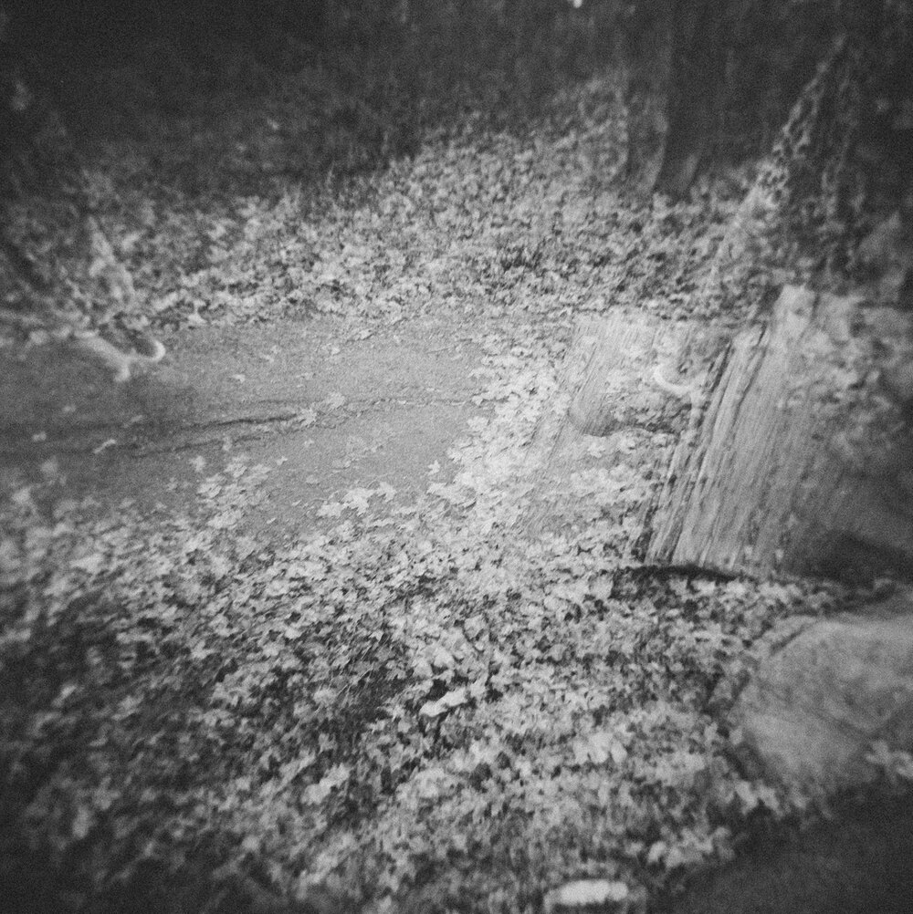 If you don't slow down, you won't see it.​​​​​​​​
-​​​​​​​​
This is one of those photos that takes a minute for your eyes to wander across to see its various different aspects.  It's a double exposure on my toy film camera which is one of my favorite