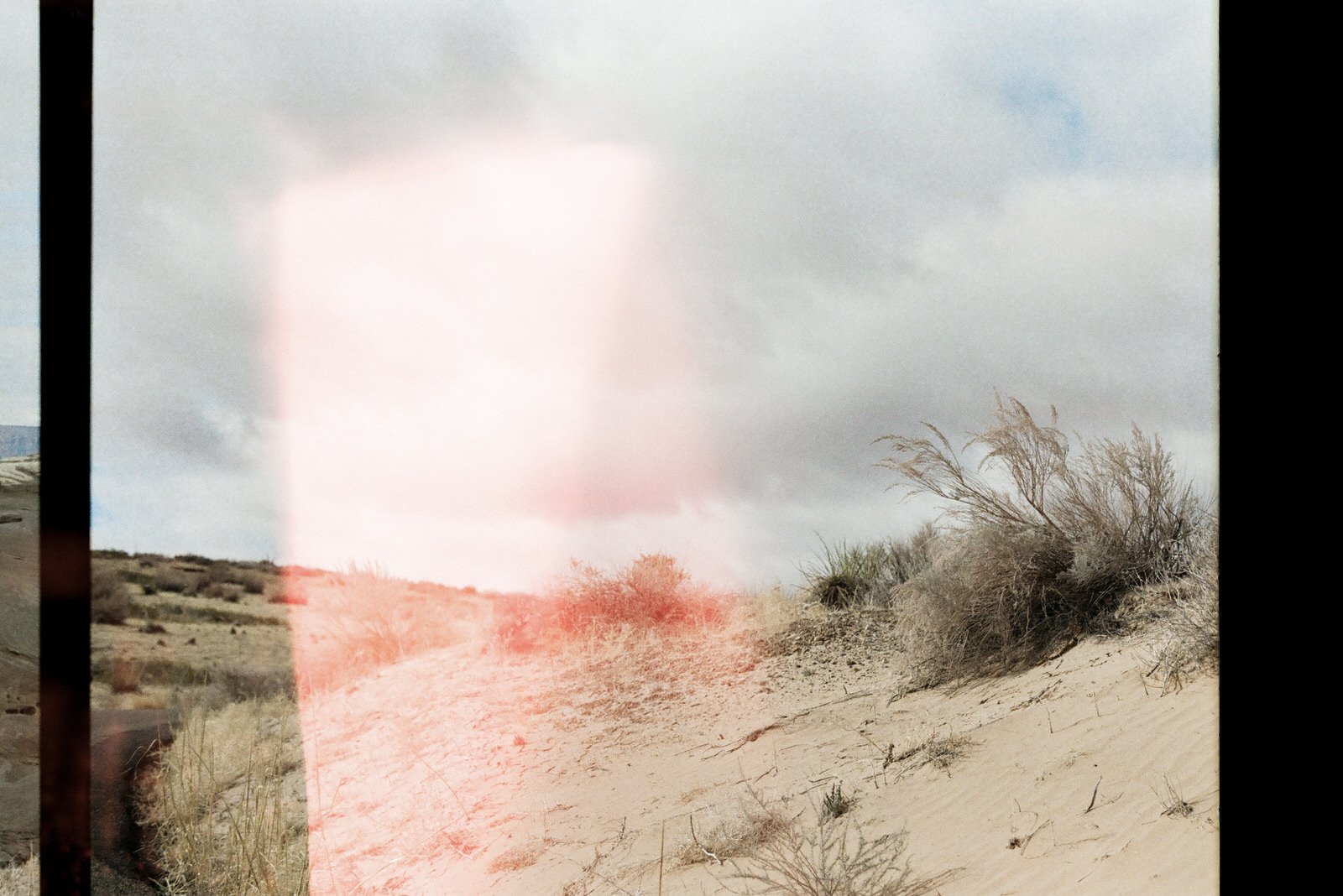 film photo with light leak of desert plants and sand cloudy sky amangiri