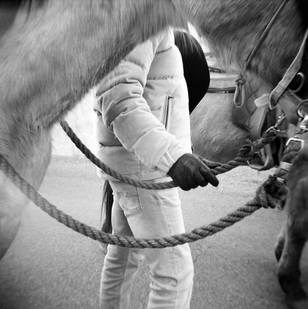 black and white film man holding the ropes of horses with leather gloves at amangiri resort