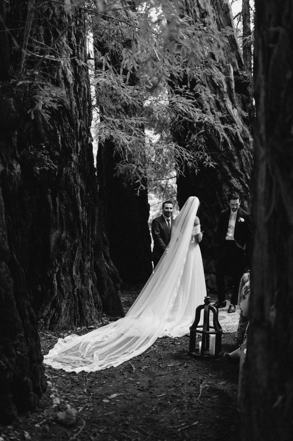 big-sur-california-elopement-wedding-photography-143.jpg