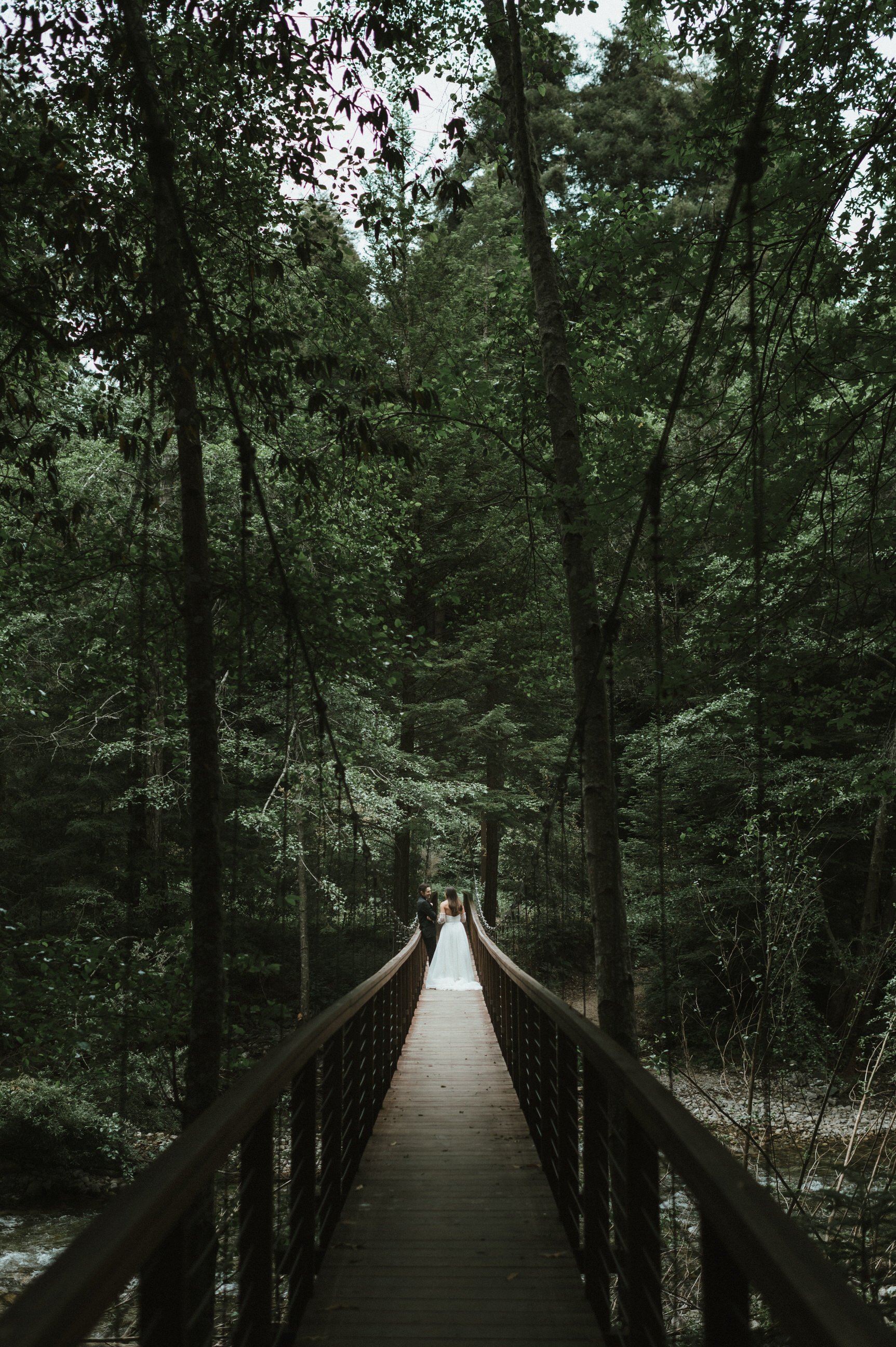 big-sur-california-elopement-wedding-photography-342.jpg