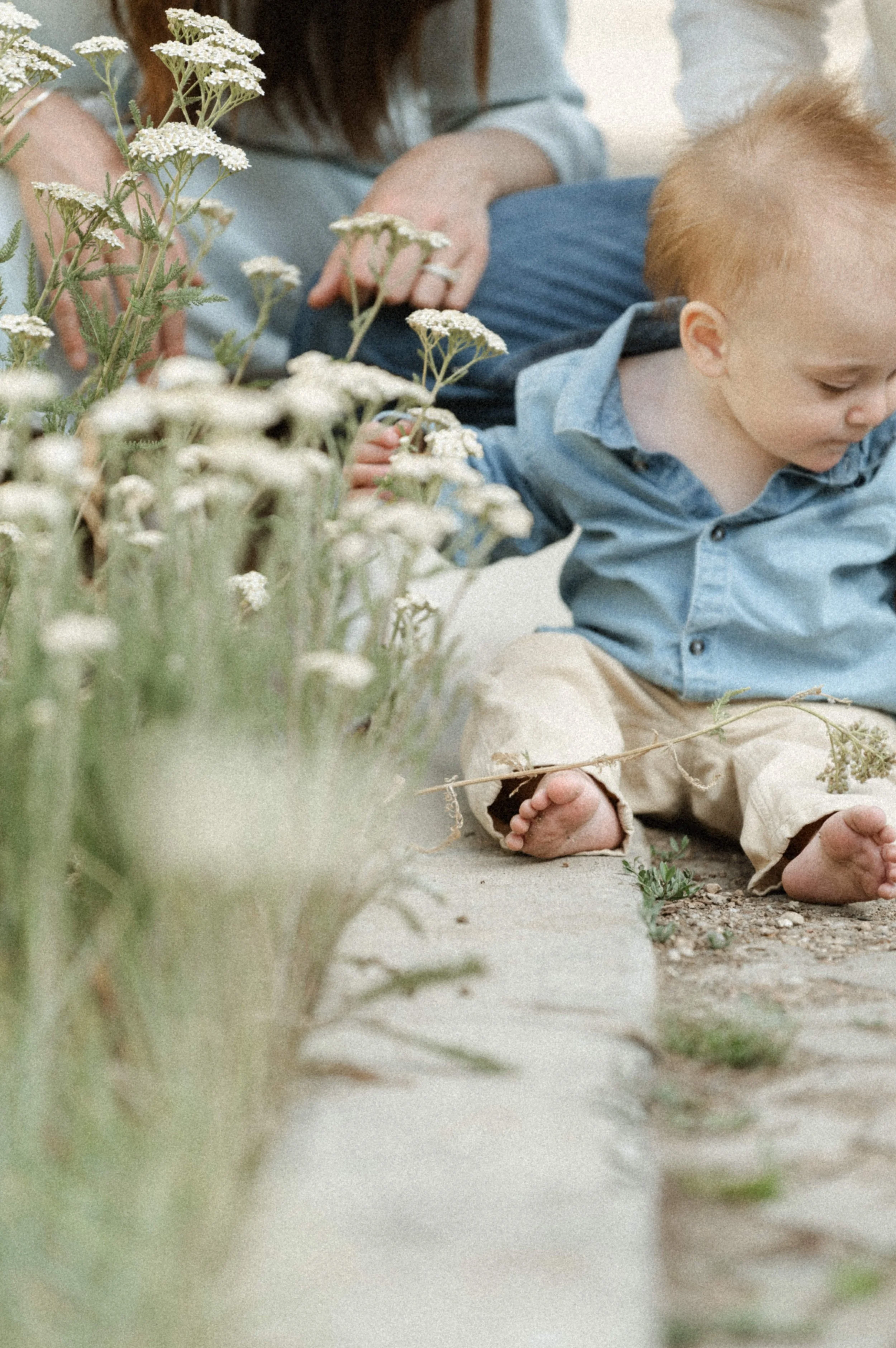 family photo outdoors in flowers at the lodge at blue sky park city utah
