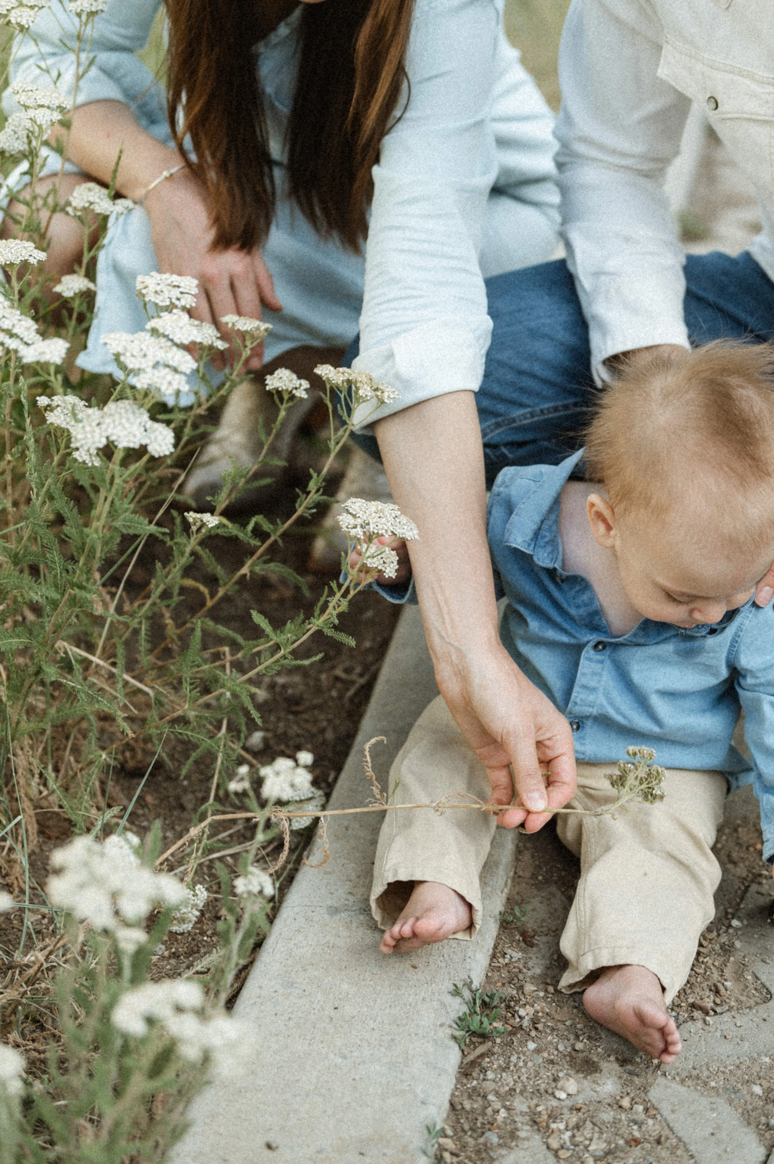 family photo outdoors in flowers at the lodge at blue sky park city utah