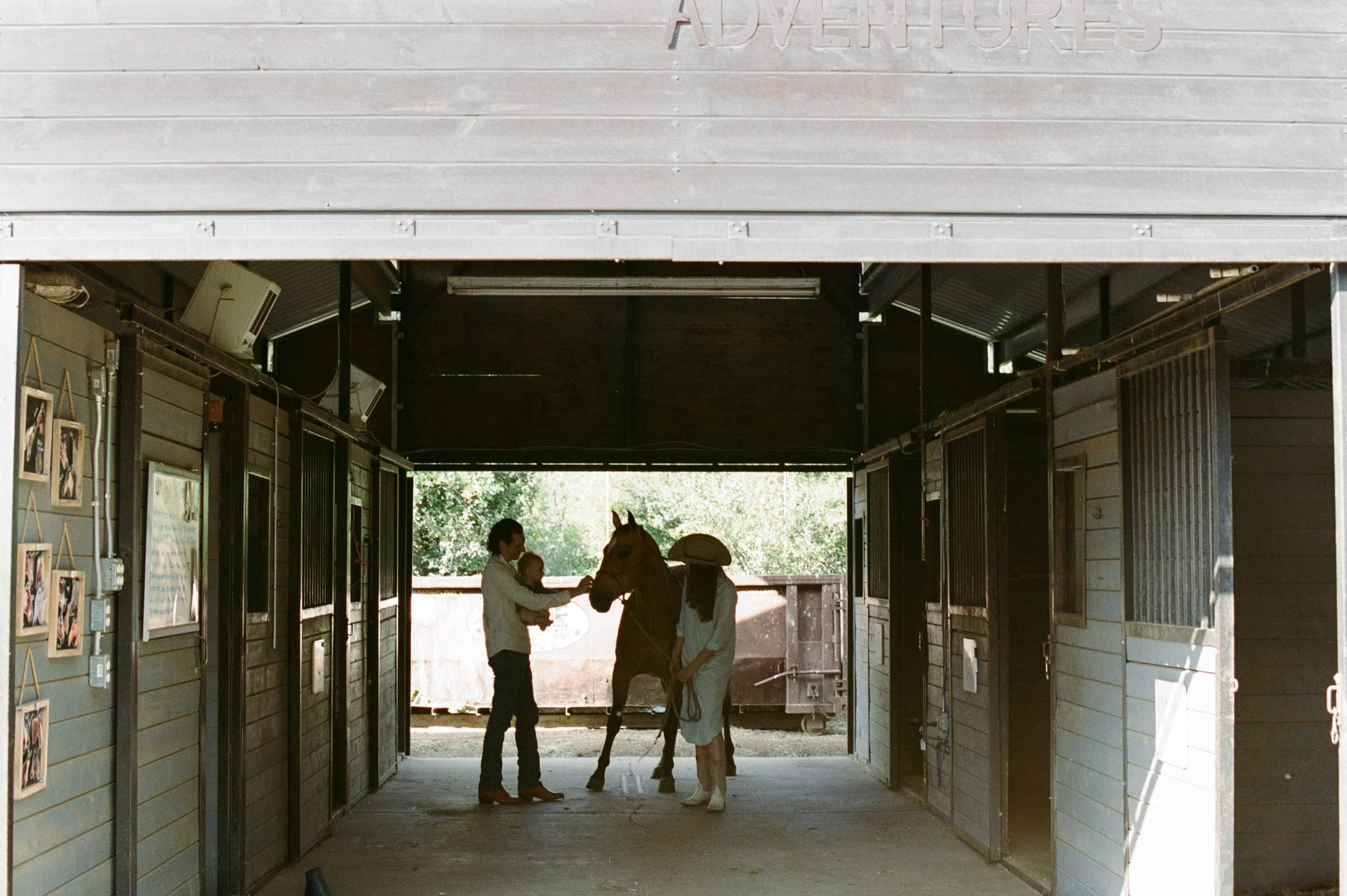 family film photo with horses and barn at the lodge at blue sky park city utah